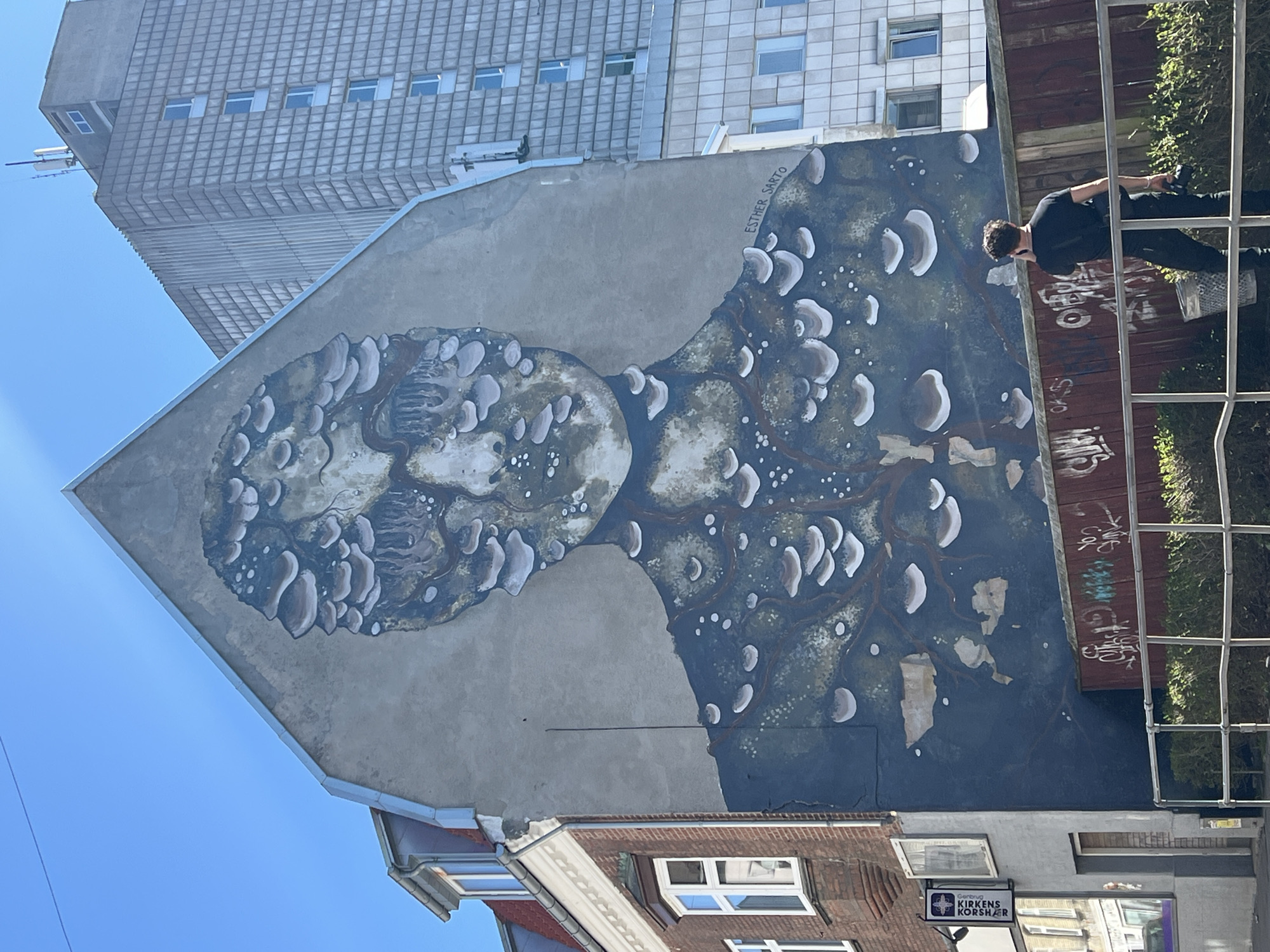 Large profile mural spotted on Aalborg building features organic design