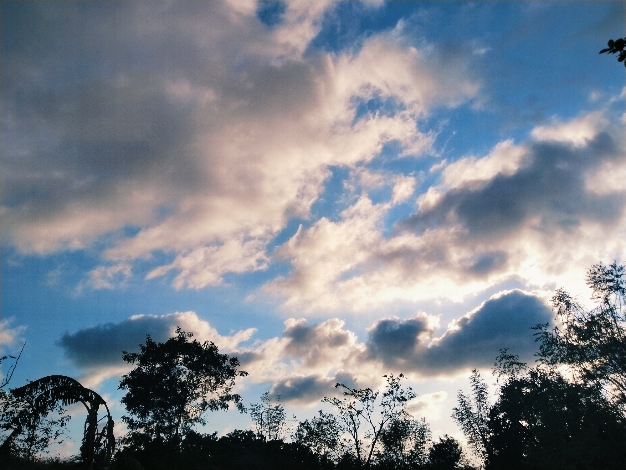 Cloudy sky documented over natural area, tree silhouettes visible