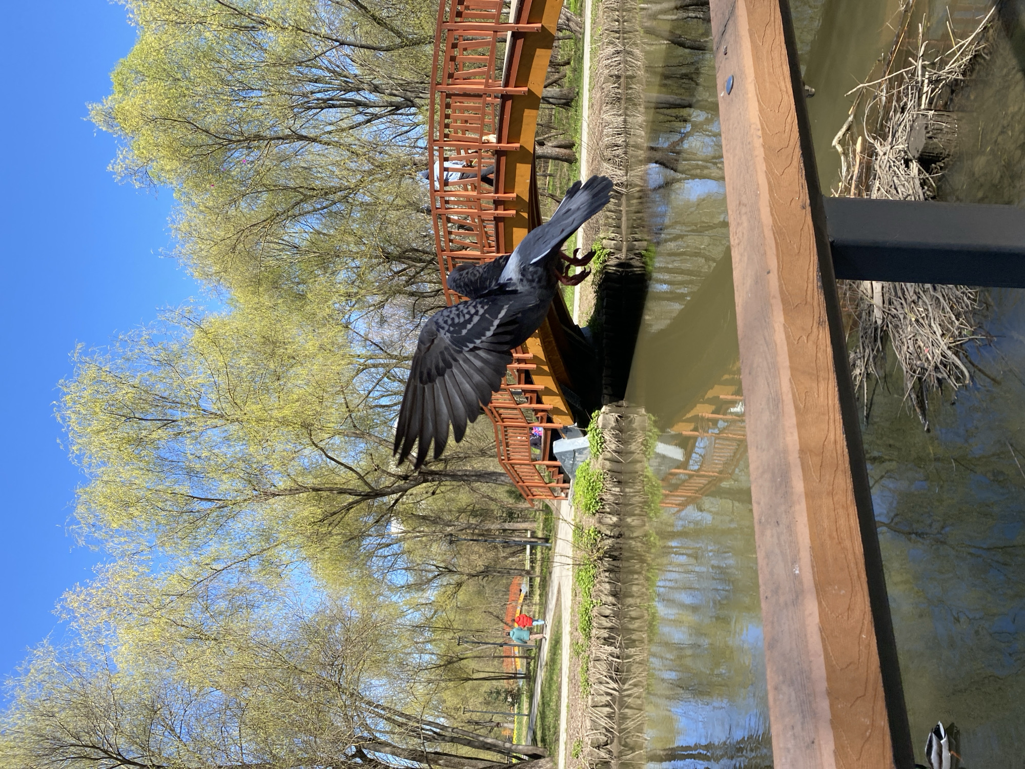 Spring morning scenes captured in Moscow park