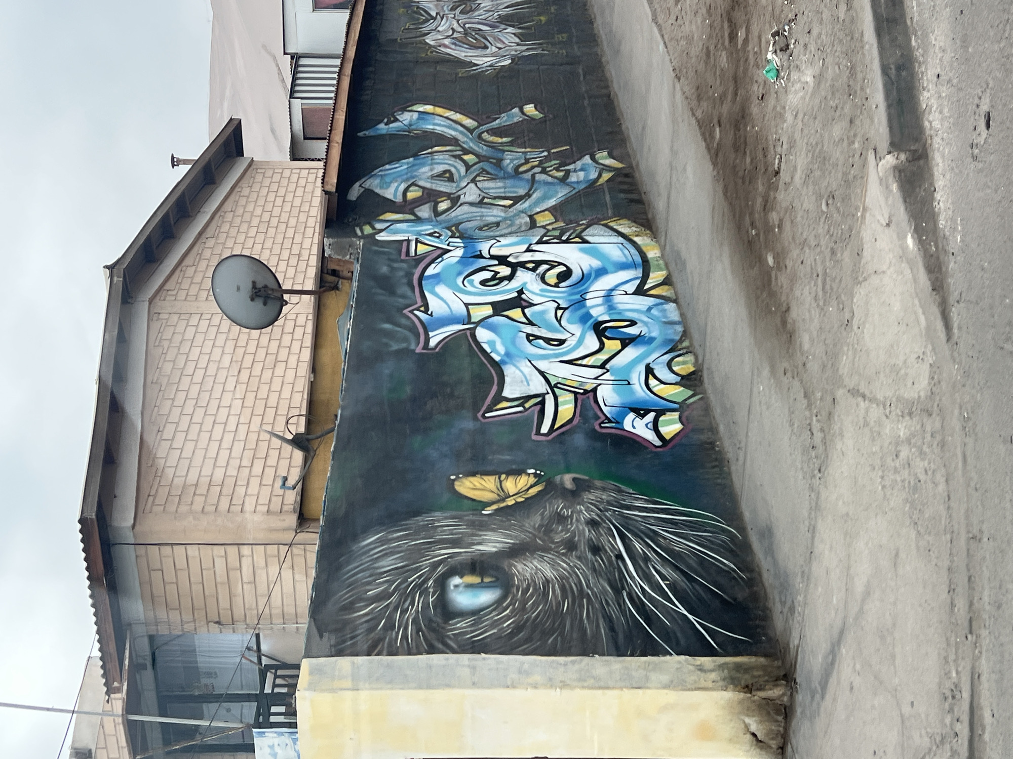 Street life documented in Arica, Chile residential area