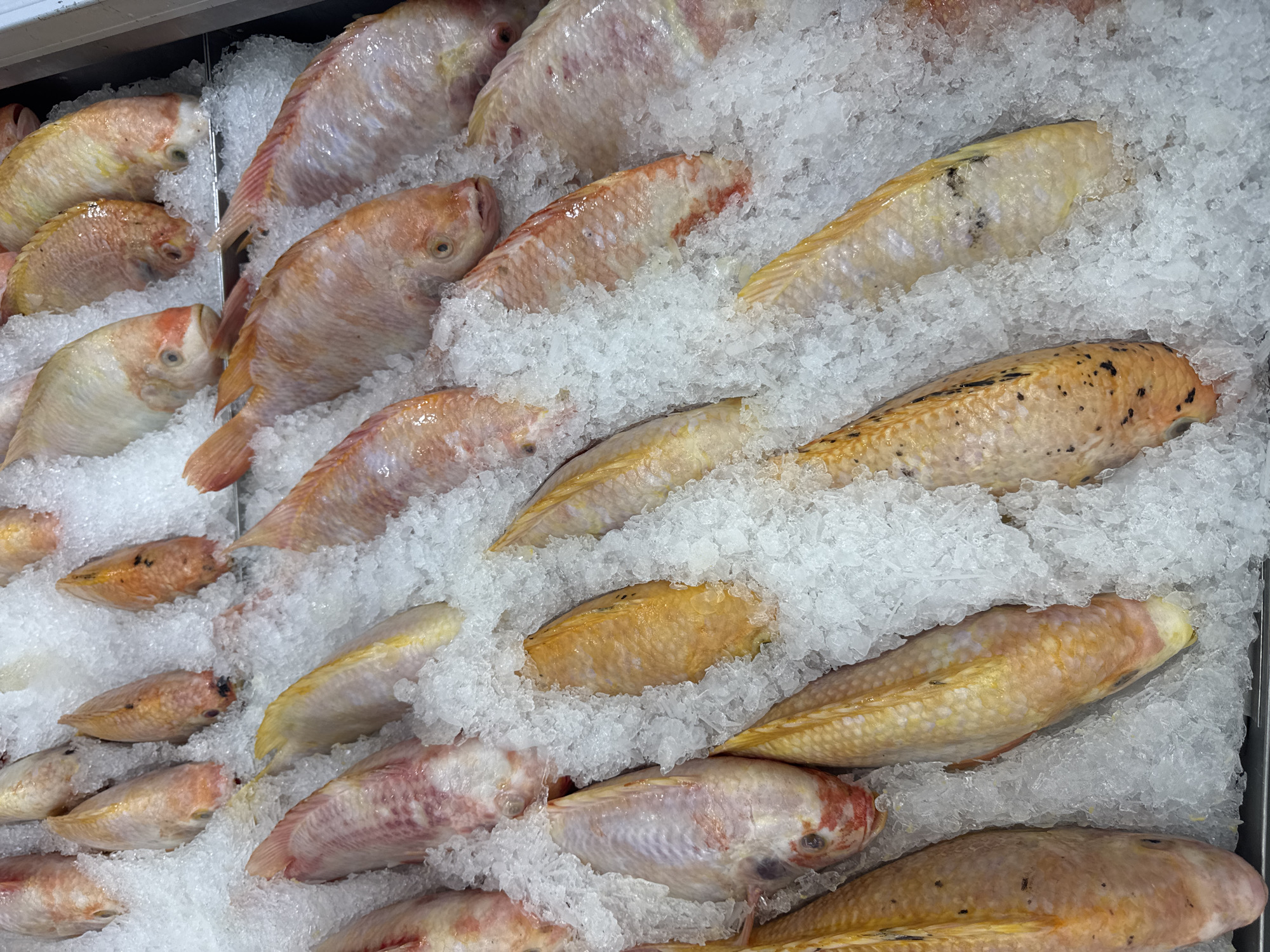 Shopping trip documented at Bangkok Makro supermarket over 14 minutes