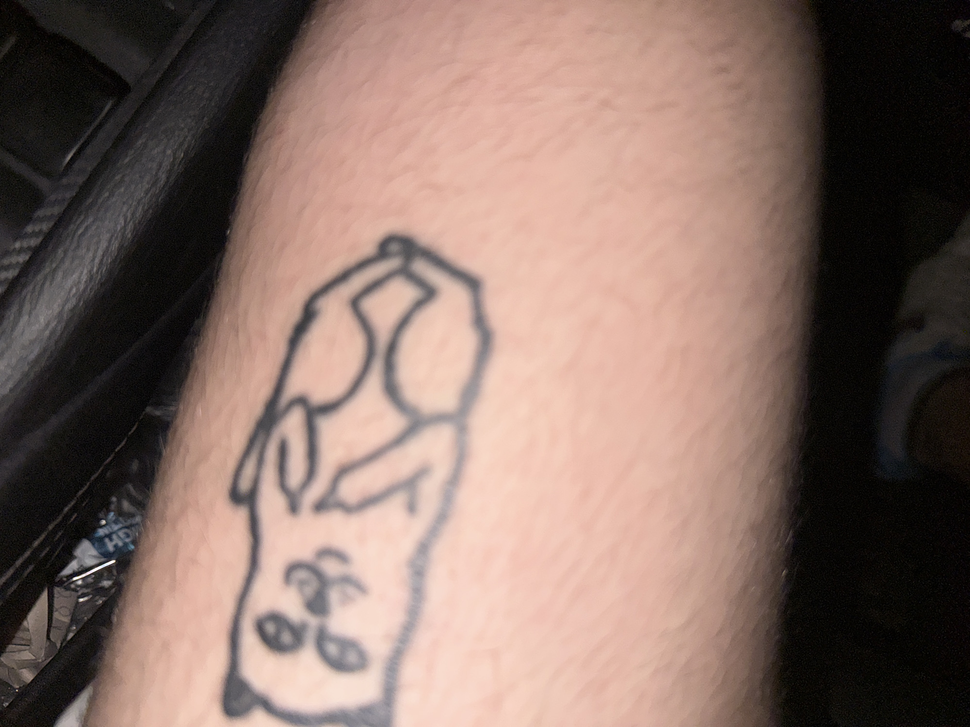 Nighttime car ride documented in Izgrev, Bulgaria with tattooed passenger