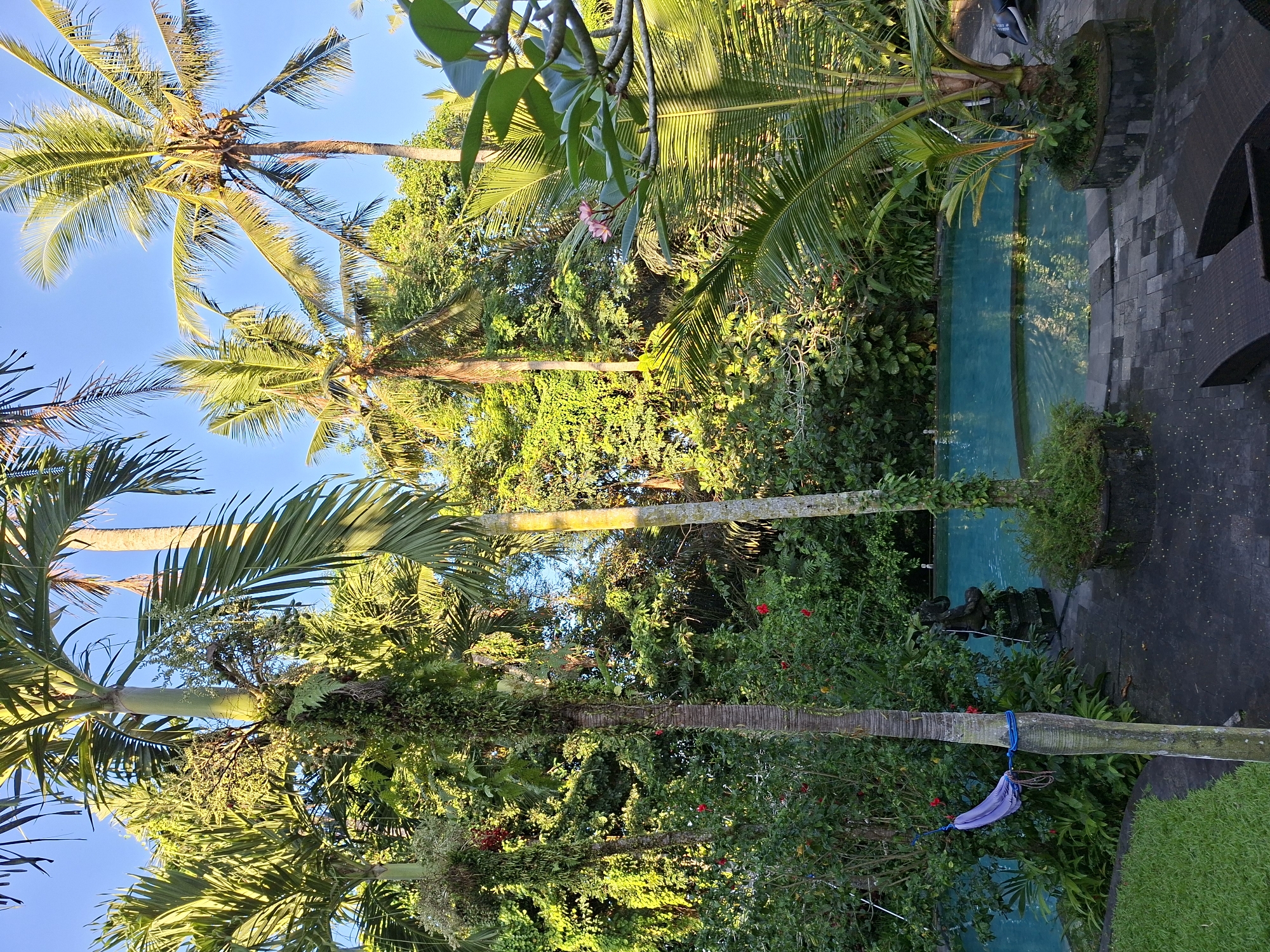 Morning garden walk documented in tropical Ubud, Indonesia