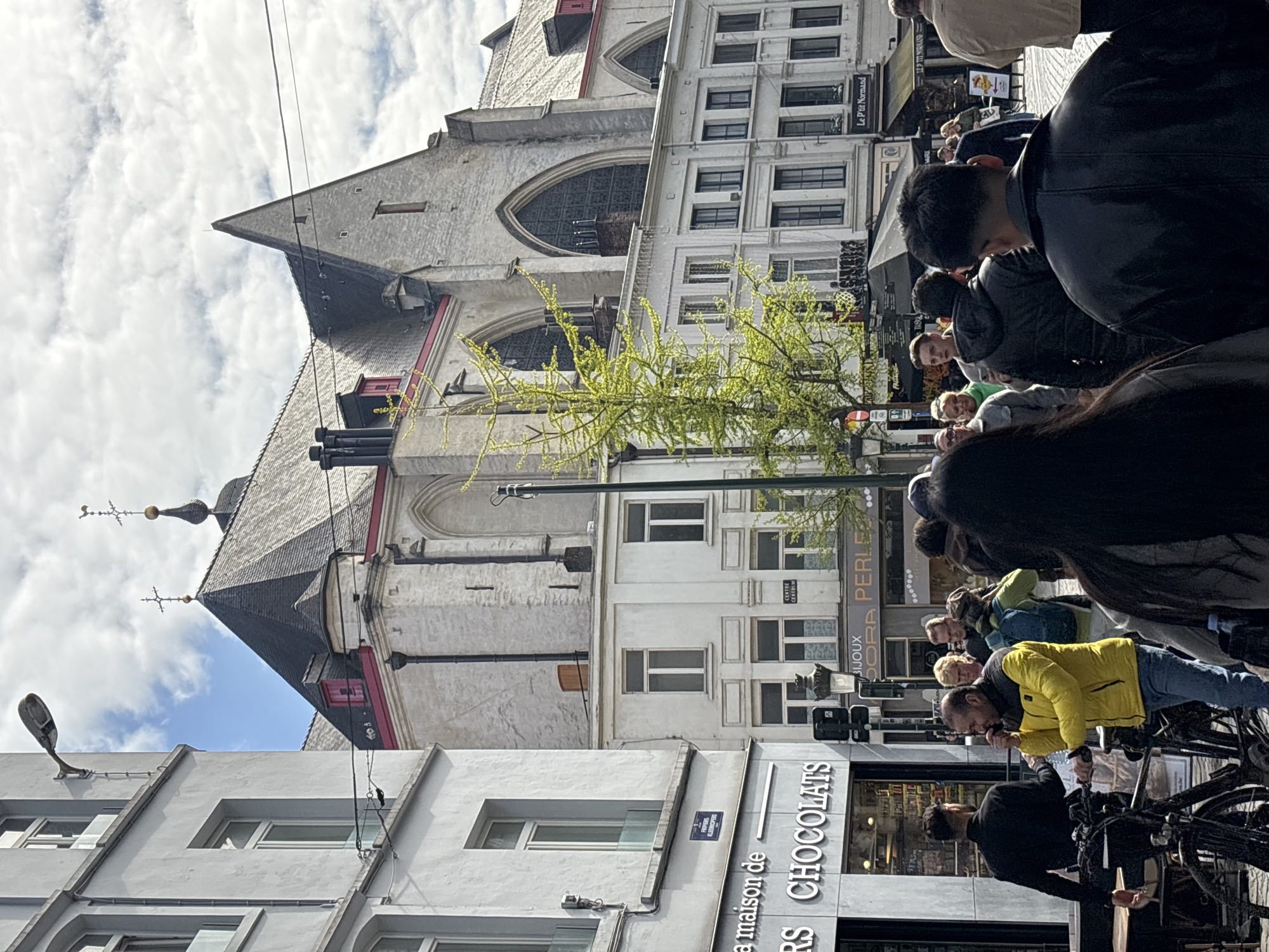 Everyday Brussels street life and landmarks captured downtown