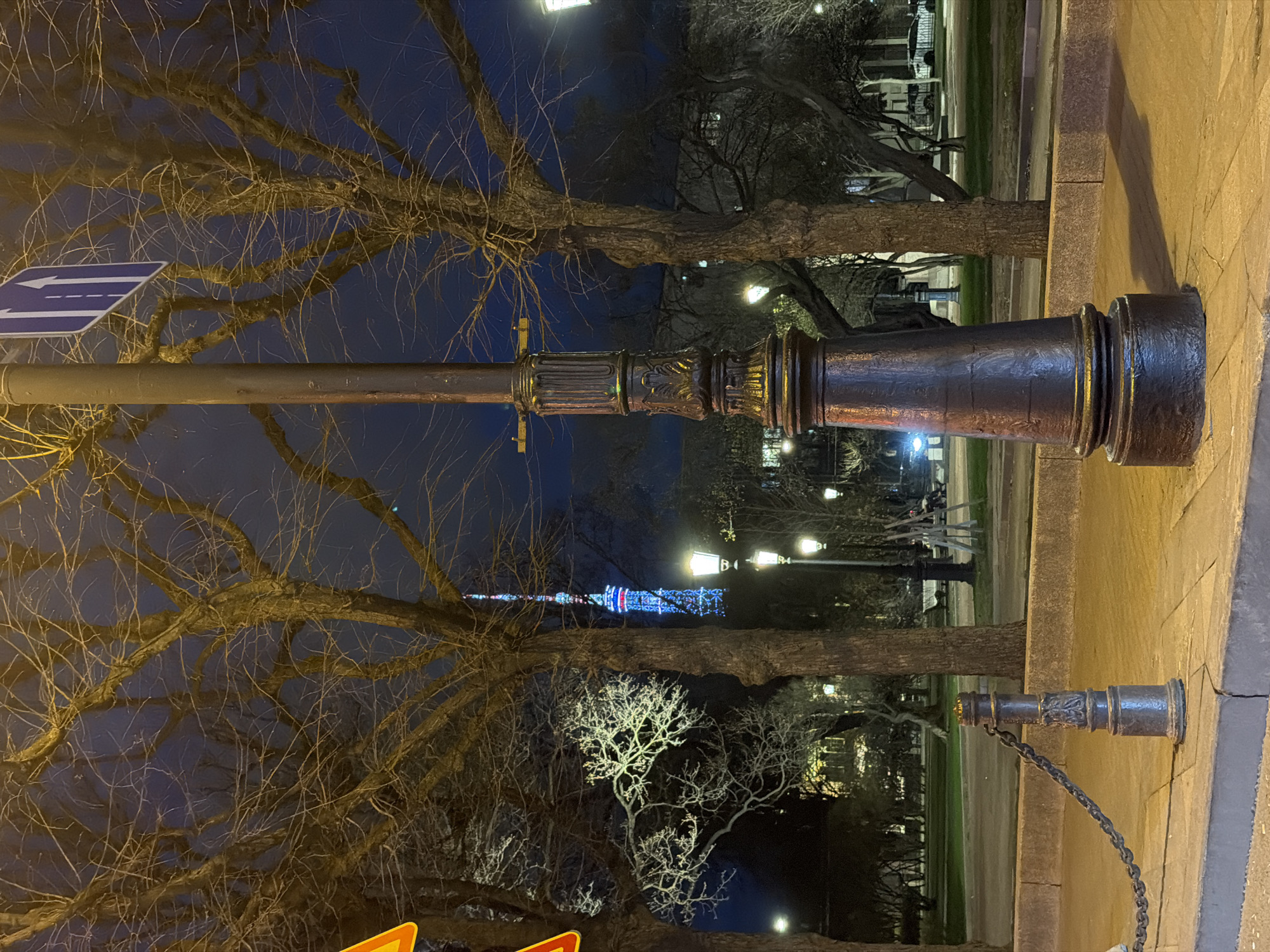 Peaceful nighttime scene captured in Saint Petersburg park