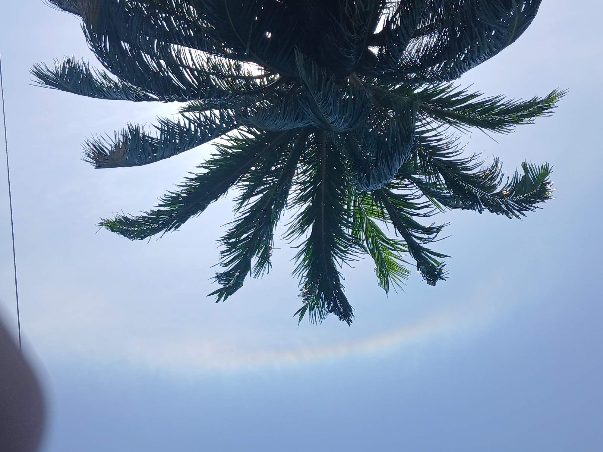 Circular rainbow halo spotted over Tinaco, Venezuela