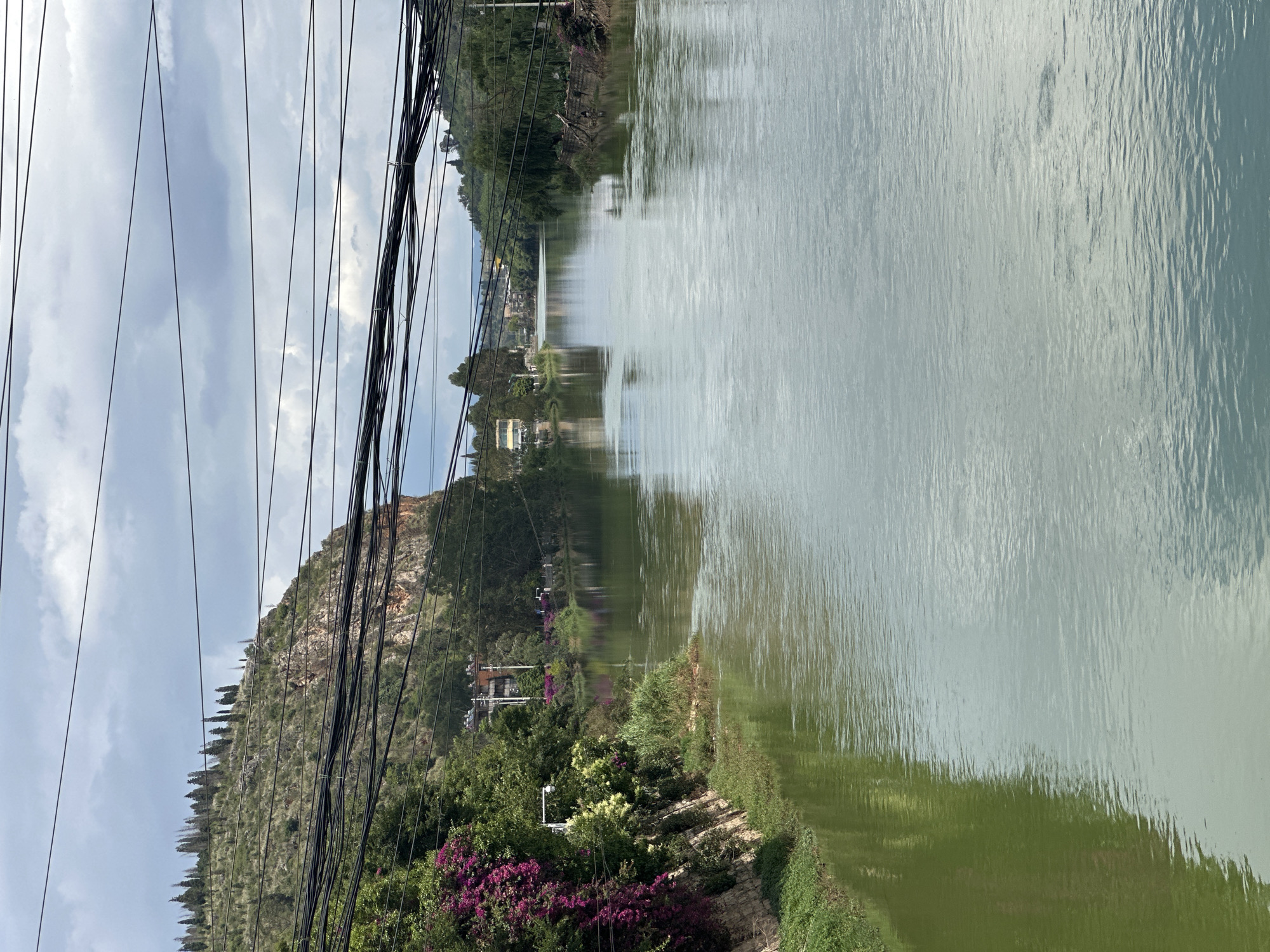 Purple bougainvillea blooms along city river in Xishan District
