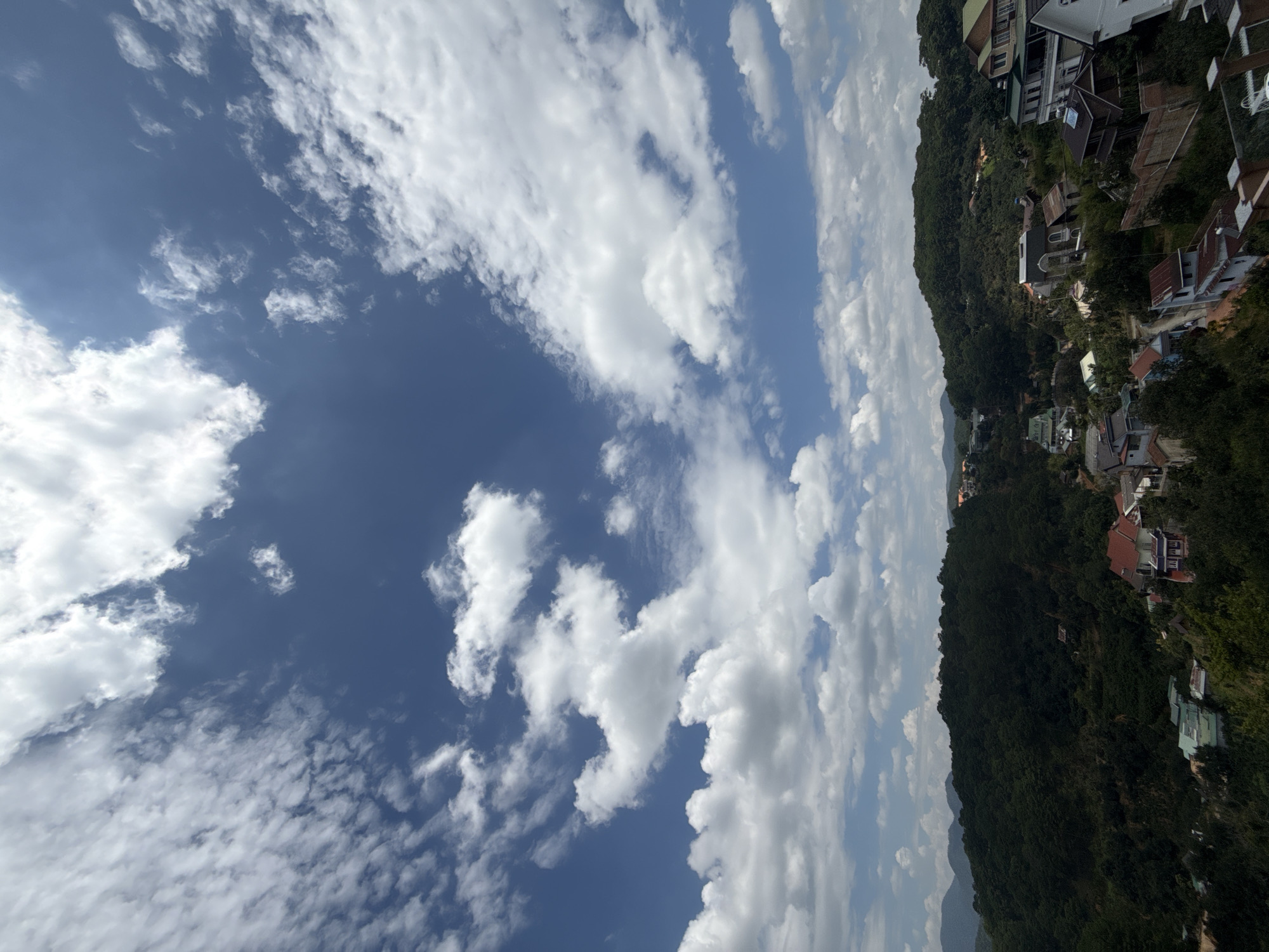Totoro statue and sweeping hill views in Da Lat