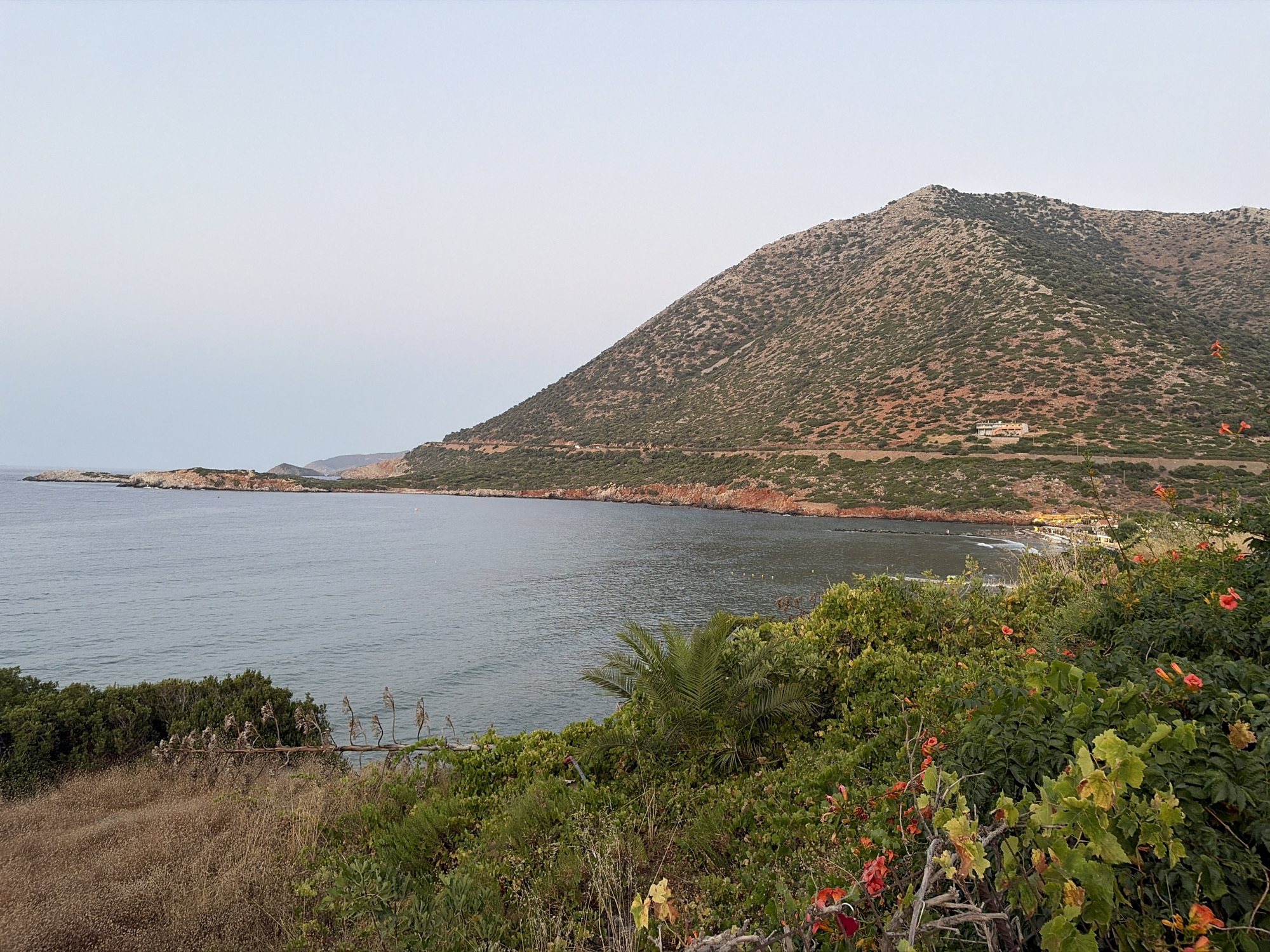 Calm seas and blooming vines along the Cretan coast