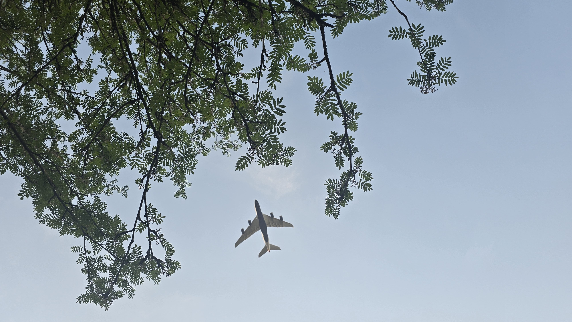 Man relaxes in deck chair as plane passes overhead