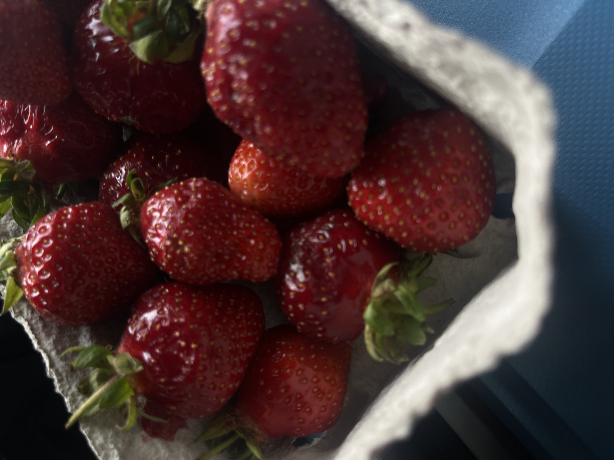 Munich witness captures strawberries and tree in afternoon scenes