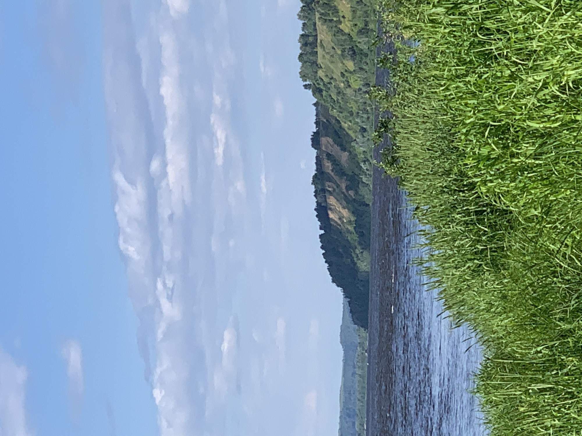 Sunny afternoon along the Oka River in Pavlovo