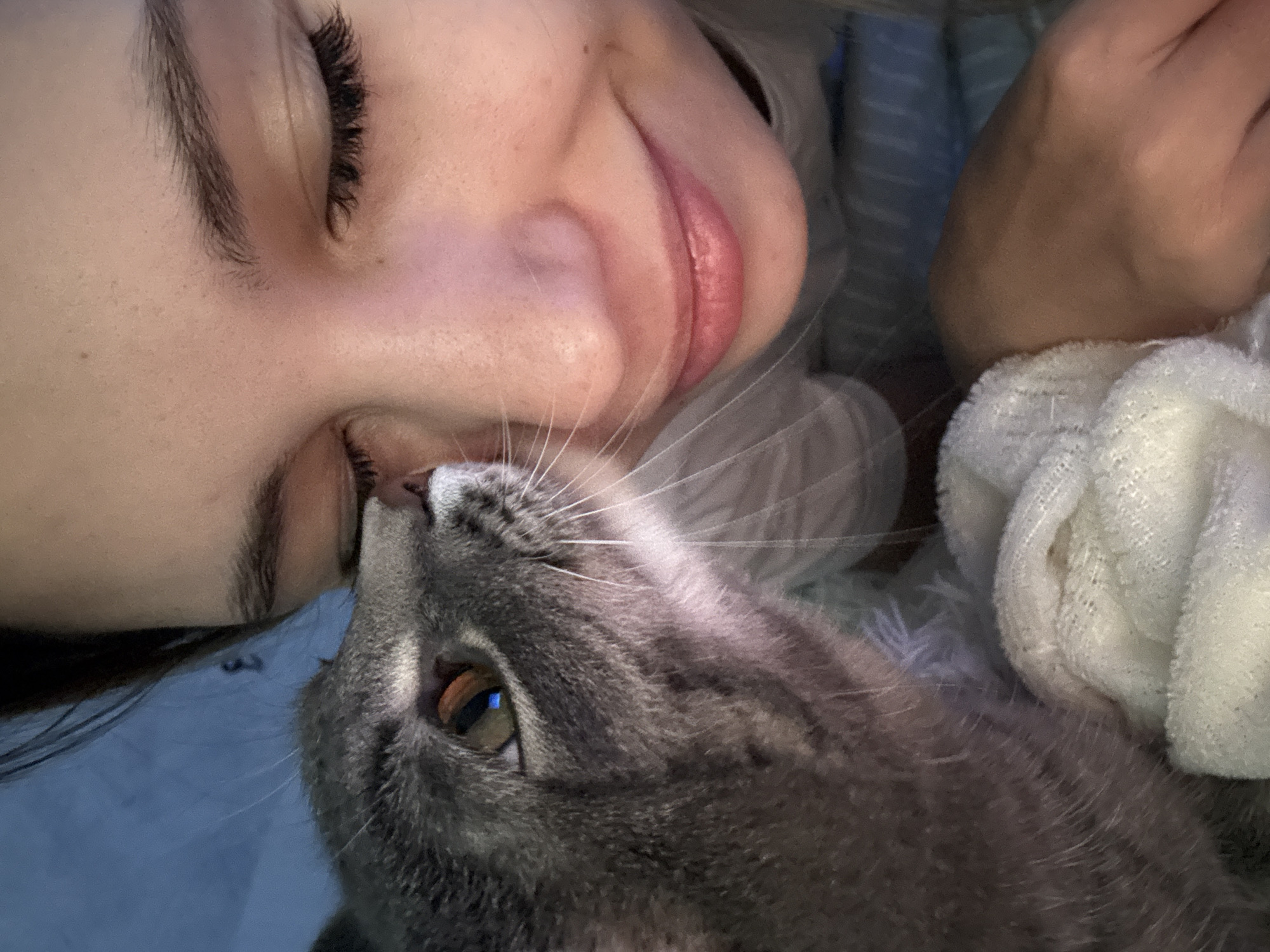 Forest biking and a grey cat in Chaikovsky, Russia