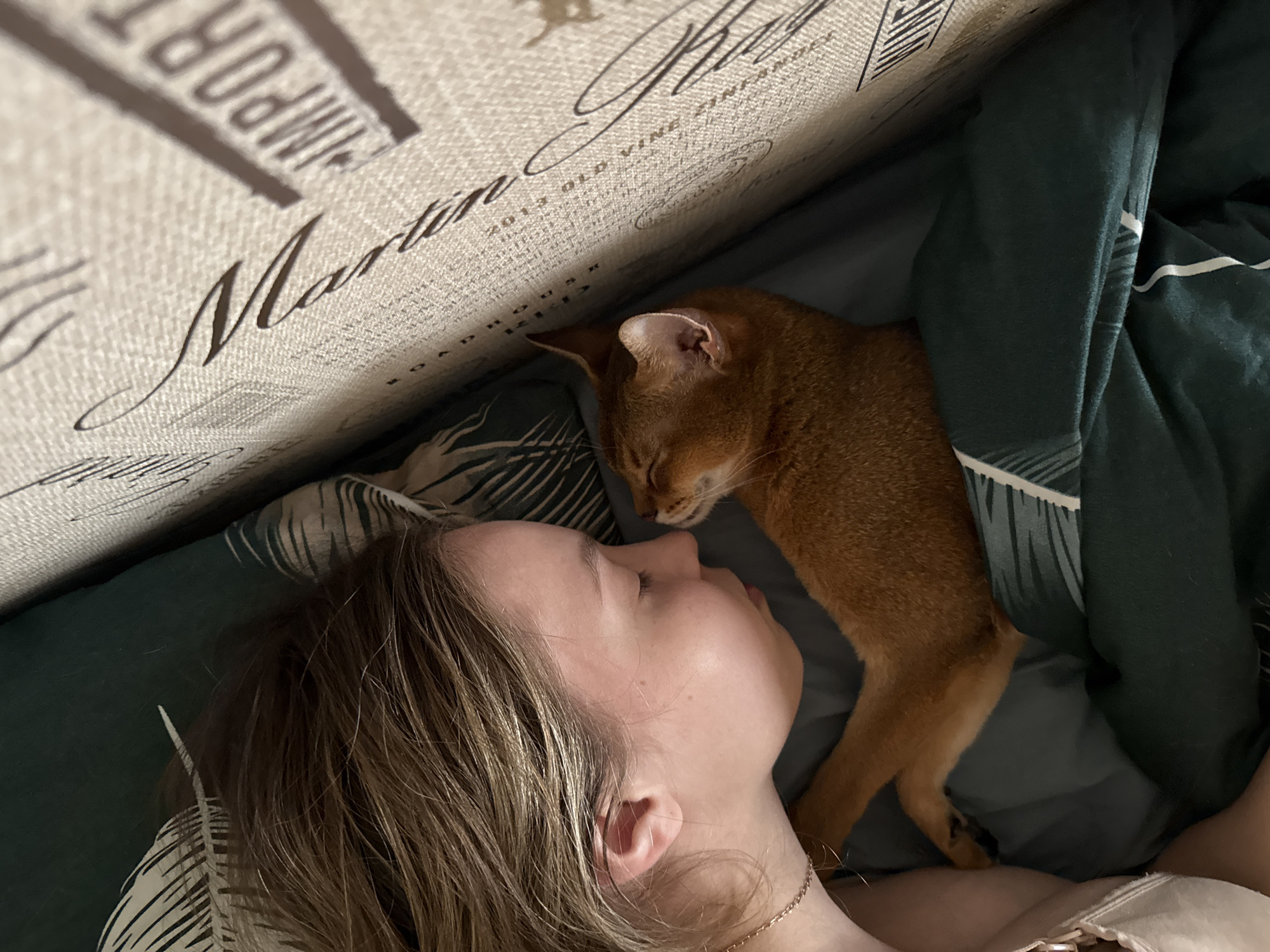 Woman and Abyssinian cat share peaceful morning bed time