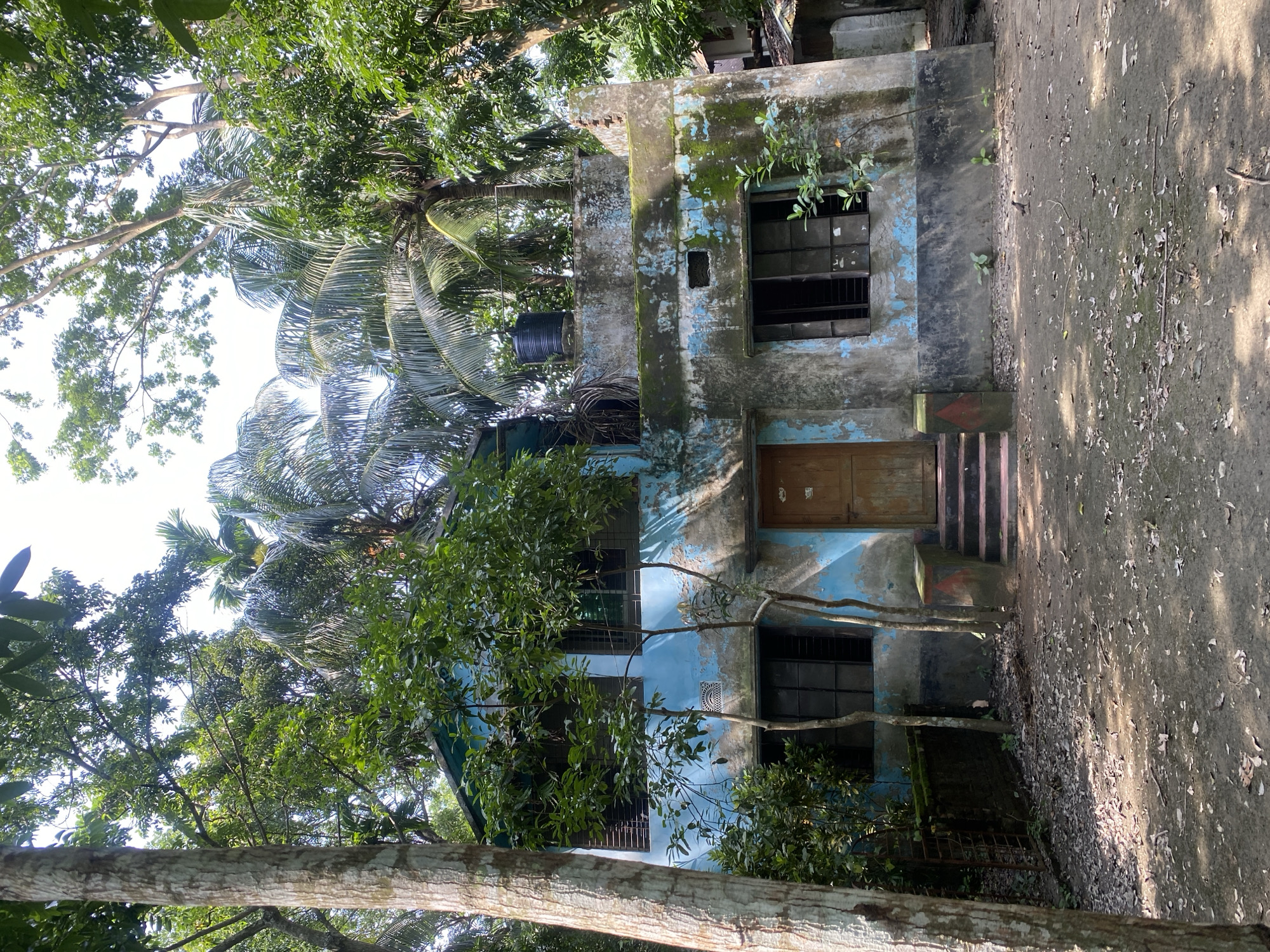 Rural Bangladesh scenes documented: weathered buildings, paths, flooded forests