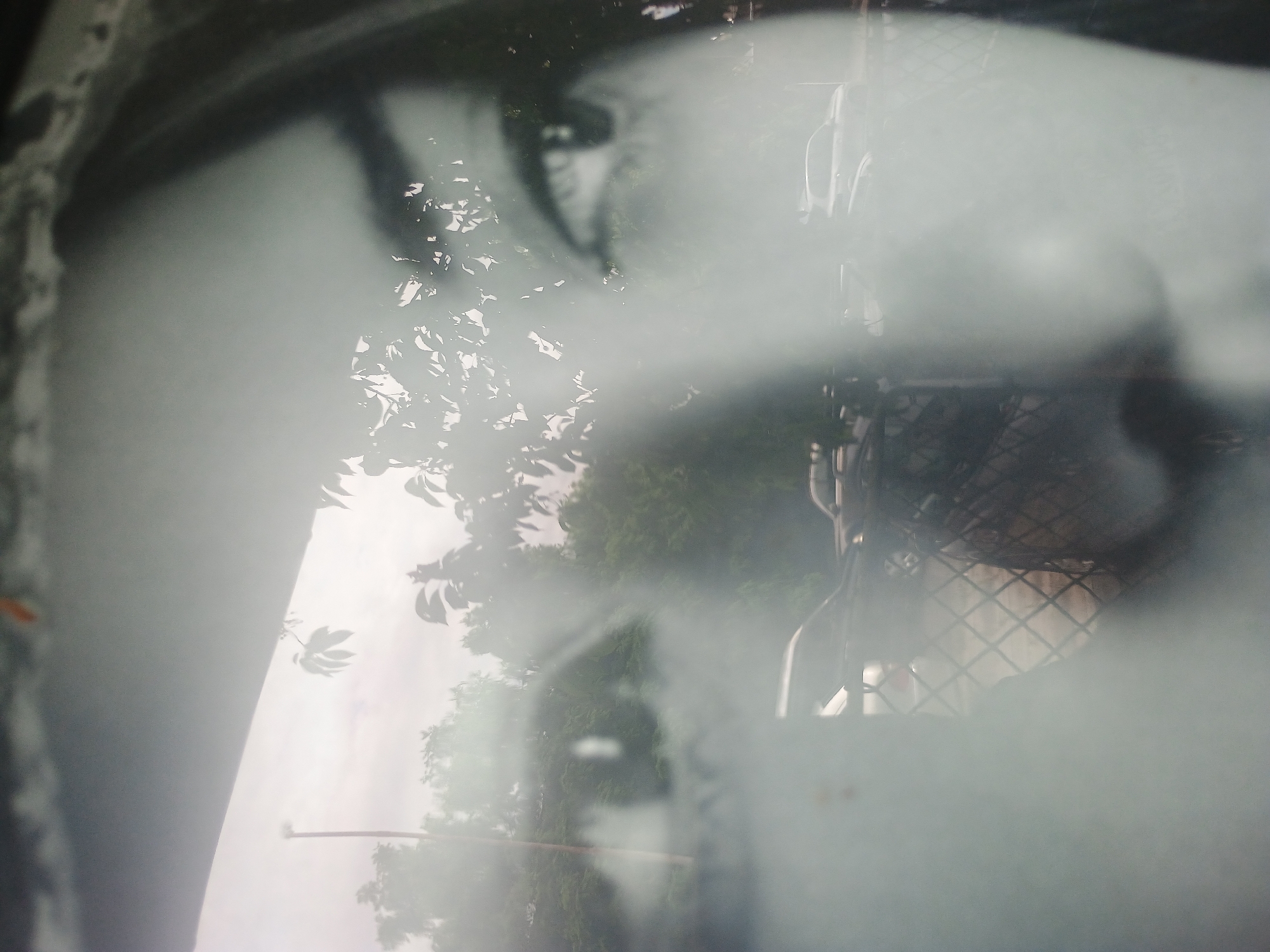 Close-up black-white portrait photograph captured with outdoor reflection overlay