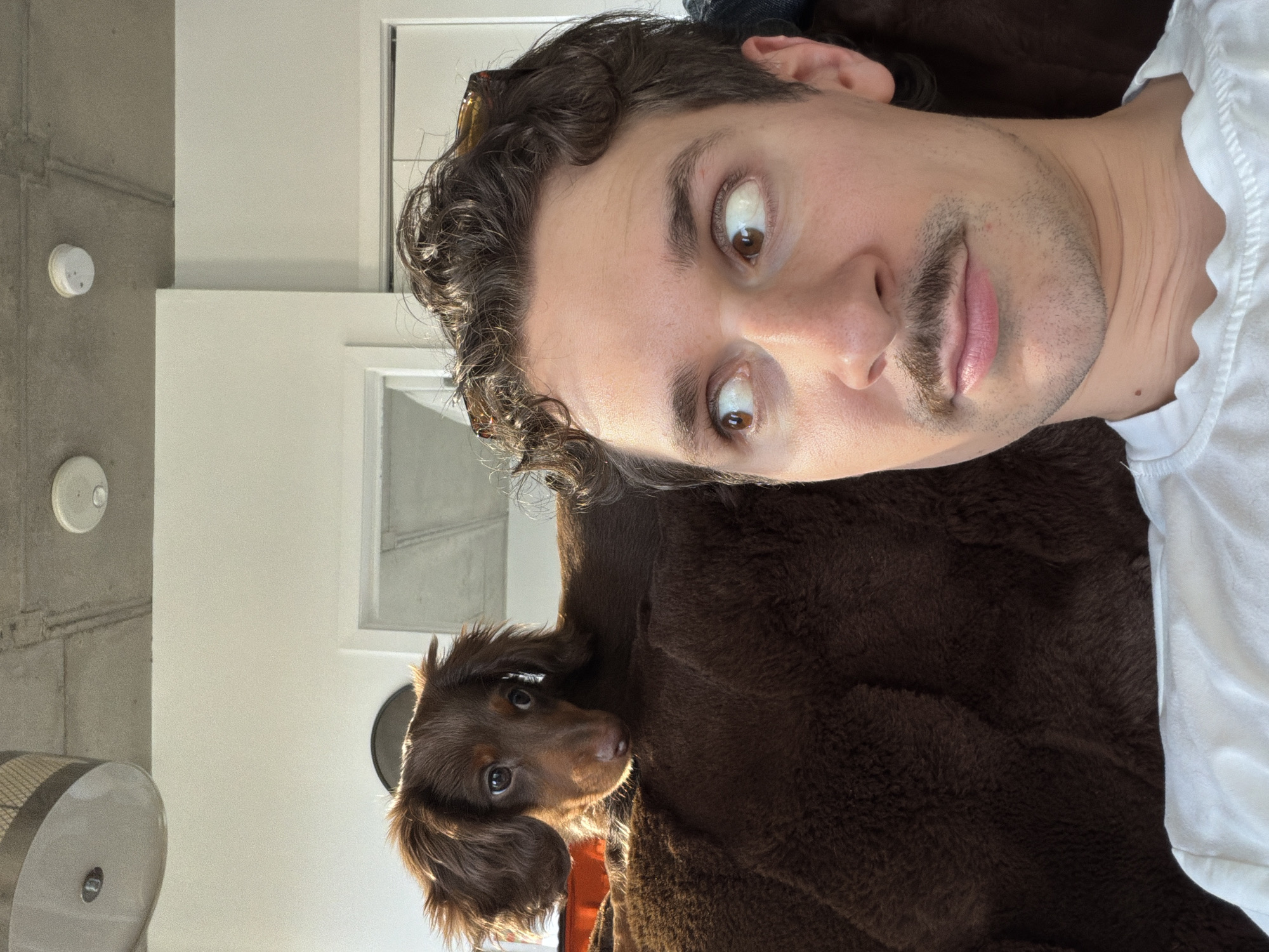 Man plays with dachshund puppy in Montreal home