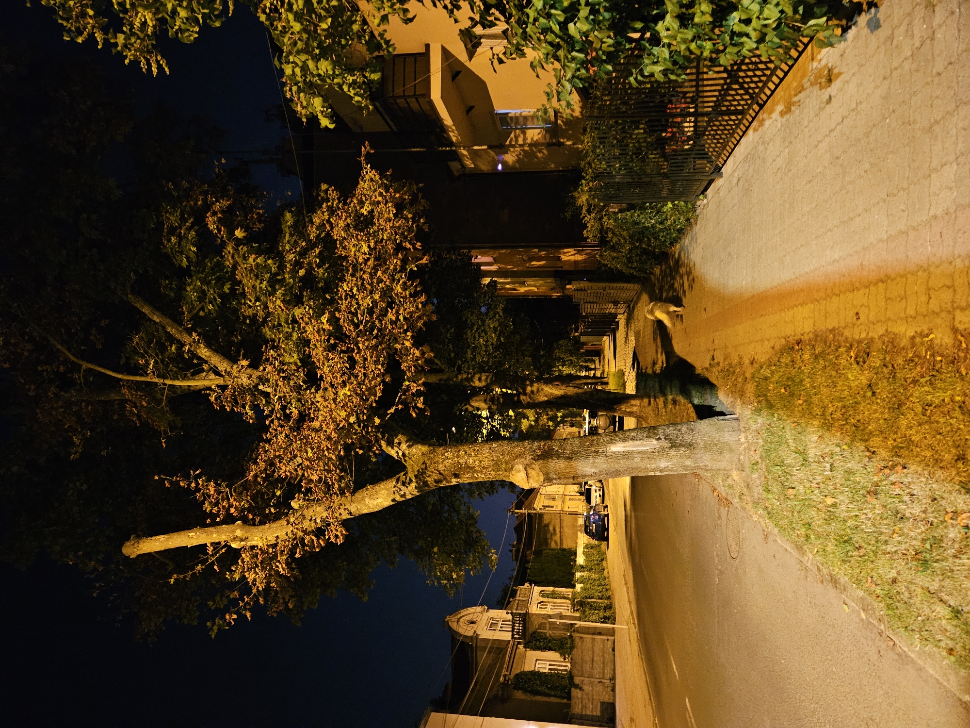 Rzeszów, Poland