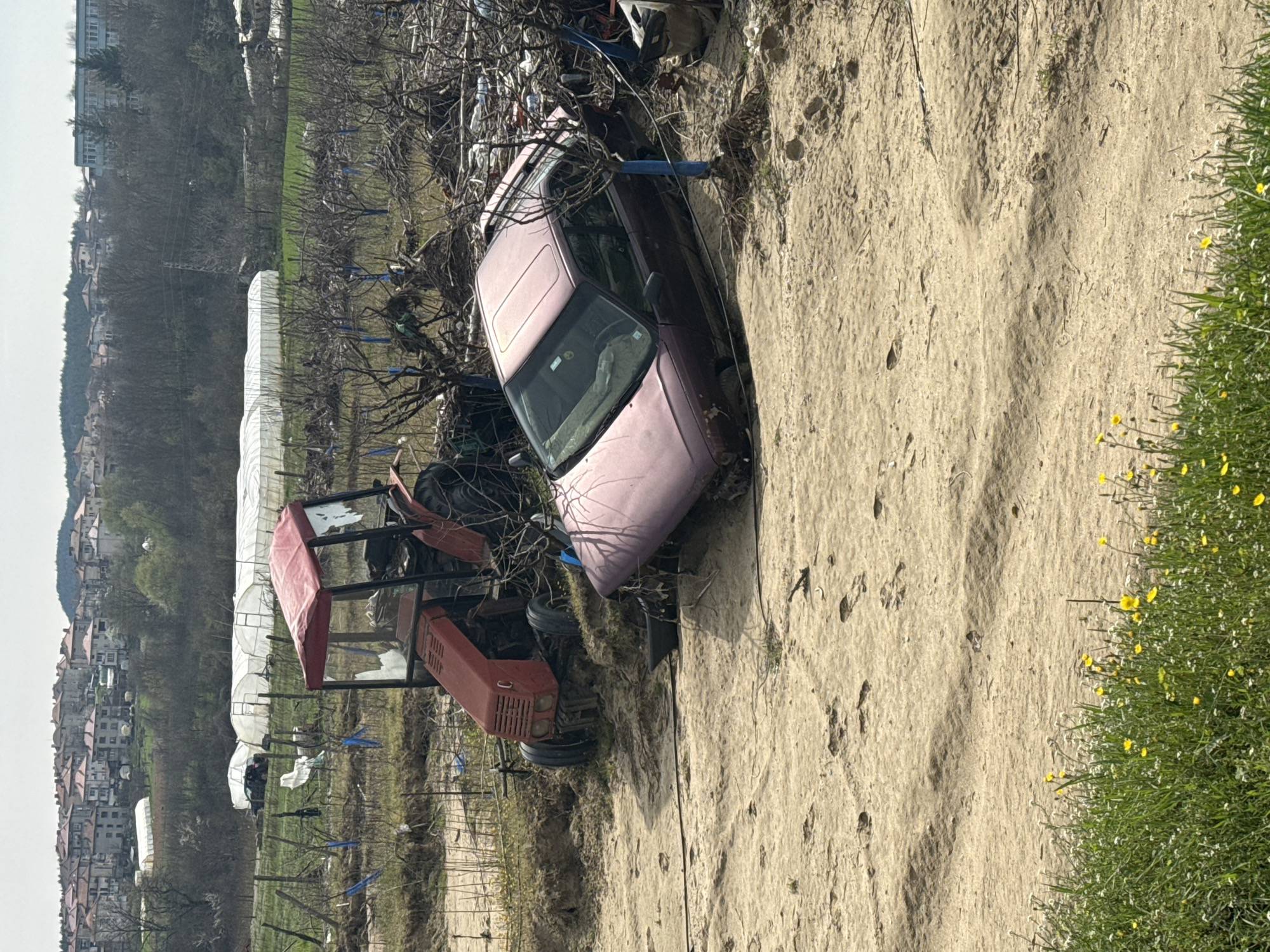 Vehicles trapped by fallen trees near Krumovgrad, Bulgaria