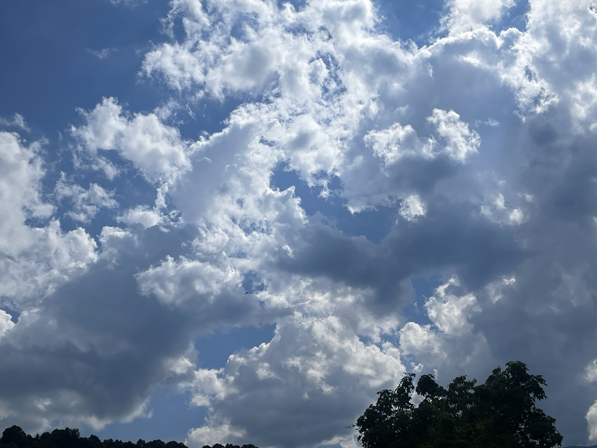 Afternoon sky watching session documented in Berkovitsa, Bulgaria