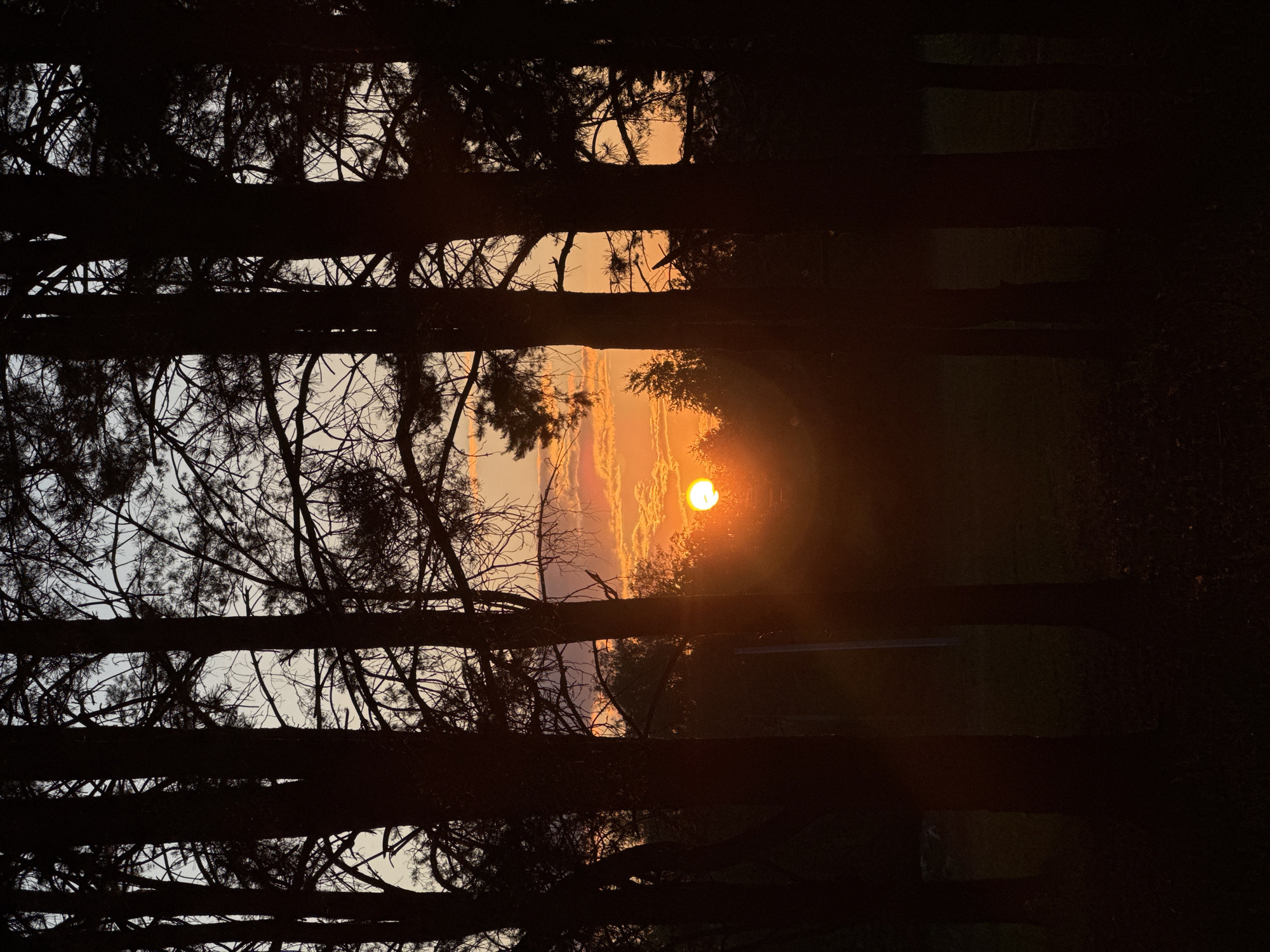 Woman documents sunset photo session in Russian forest and fields