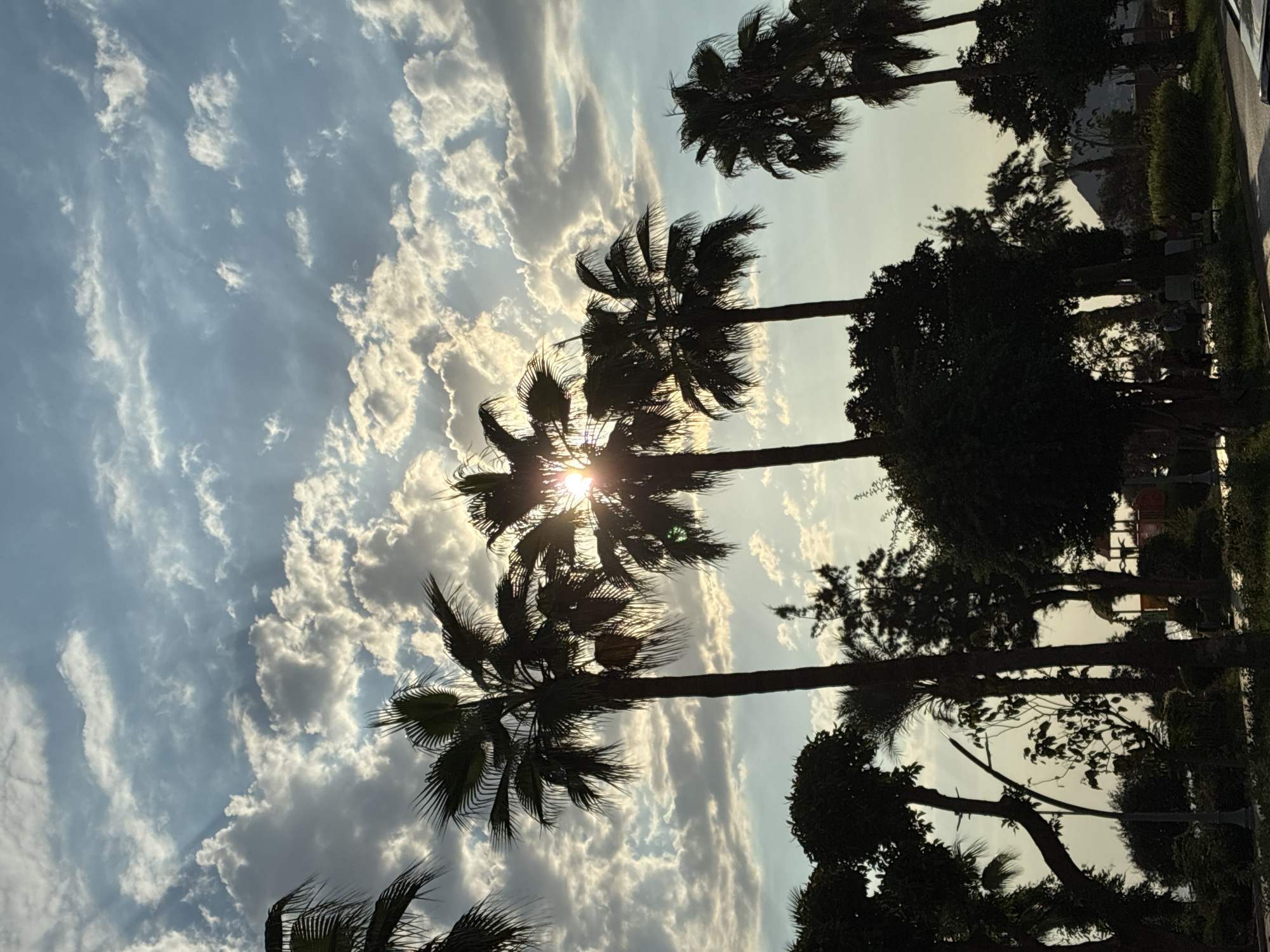 Palm-lined Alanya streets in warm afternoon light