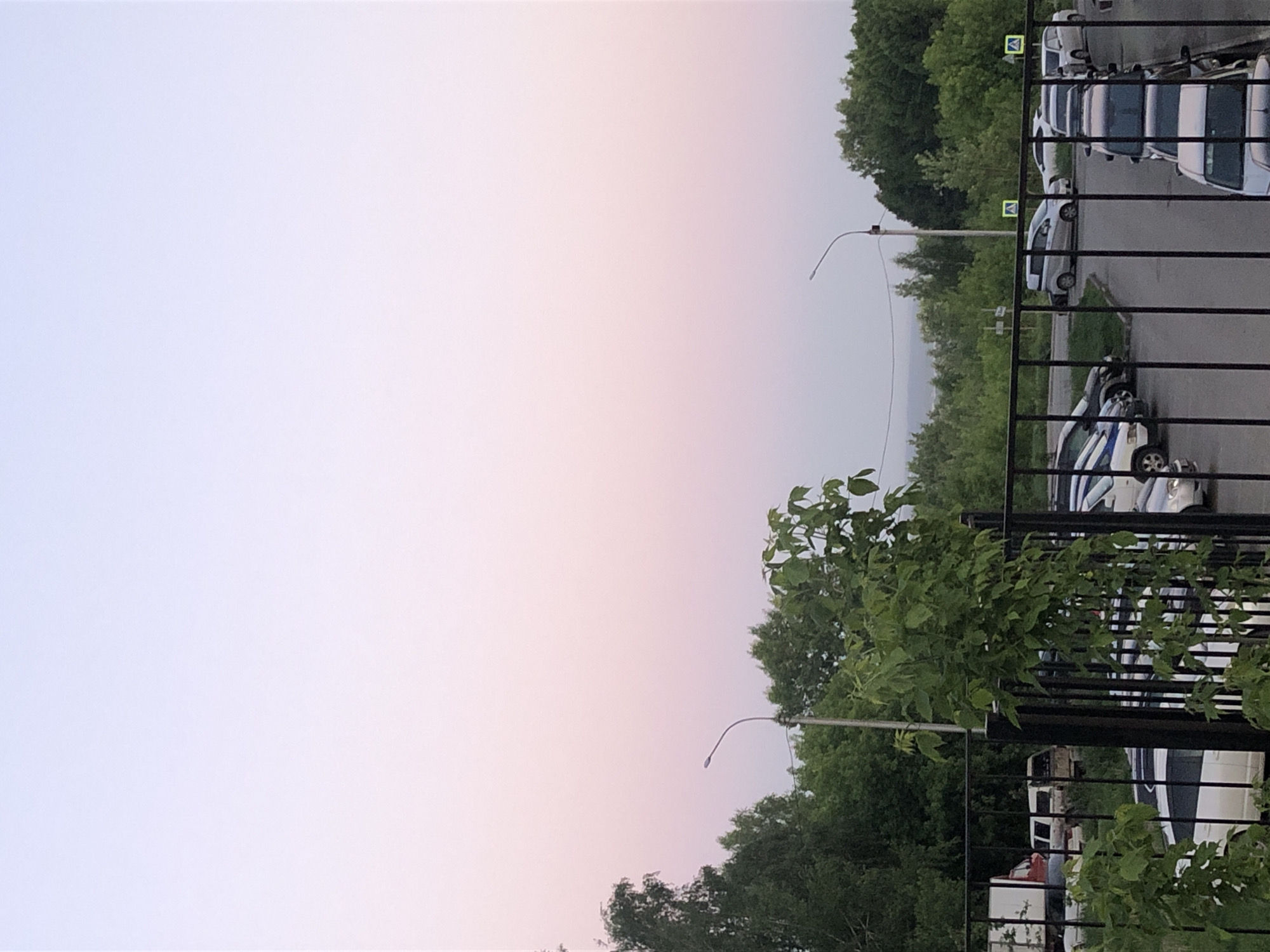 Spring flowers and twilight scenes documented across 13 minutes