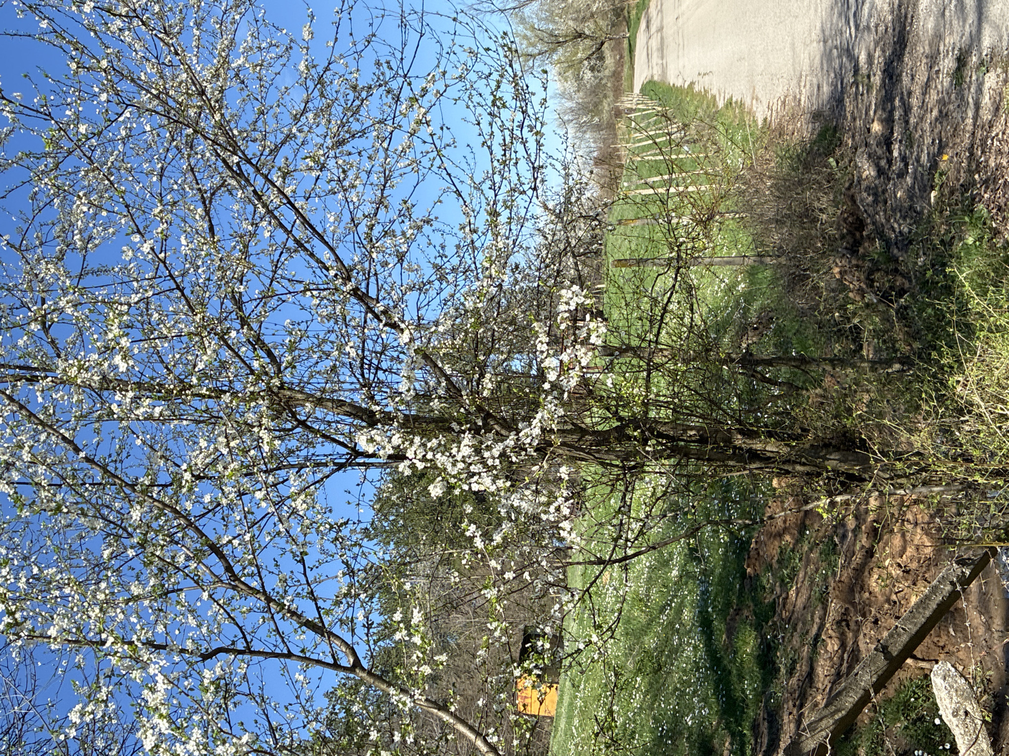 Spring countryside scenes documented near Berkovitsa, Bulgaria