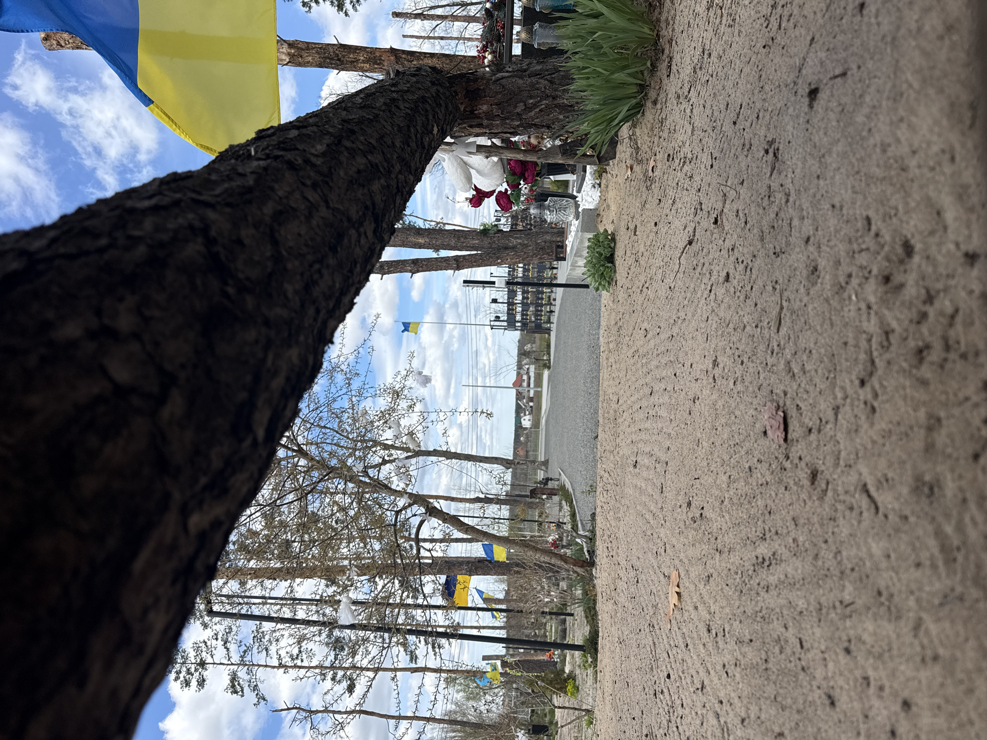 Ukrainian flag flies at Moshchun cemetery memorial site