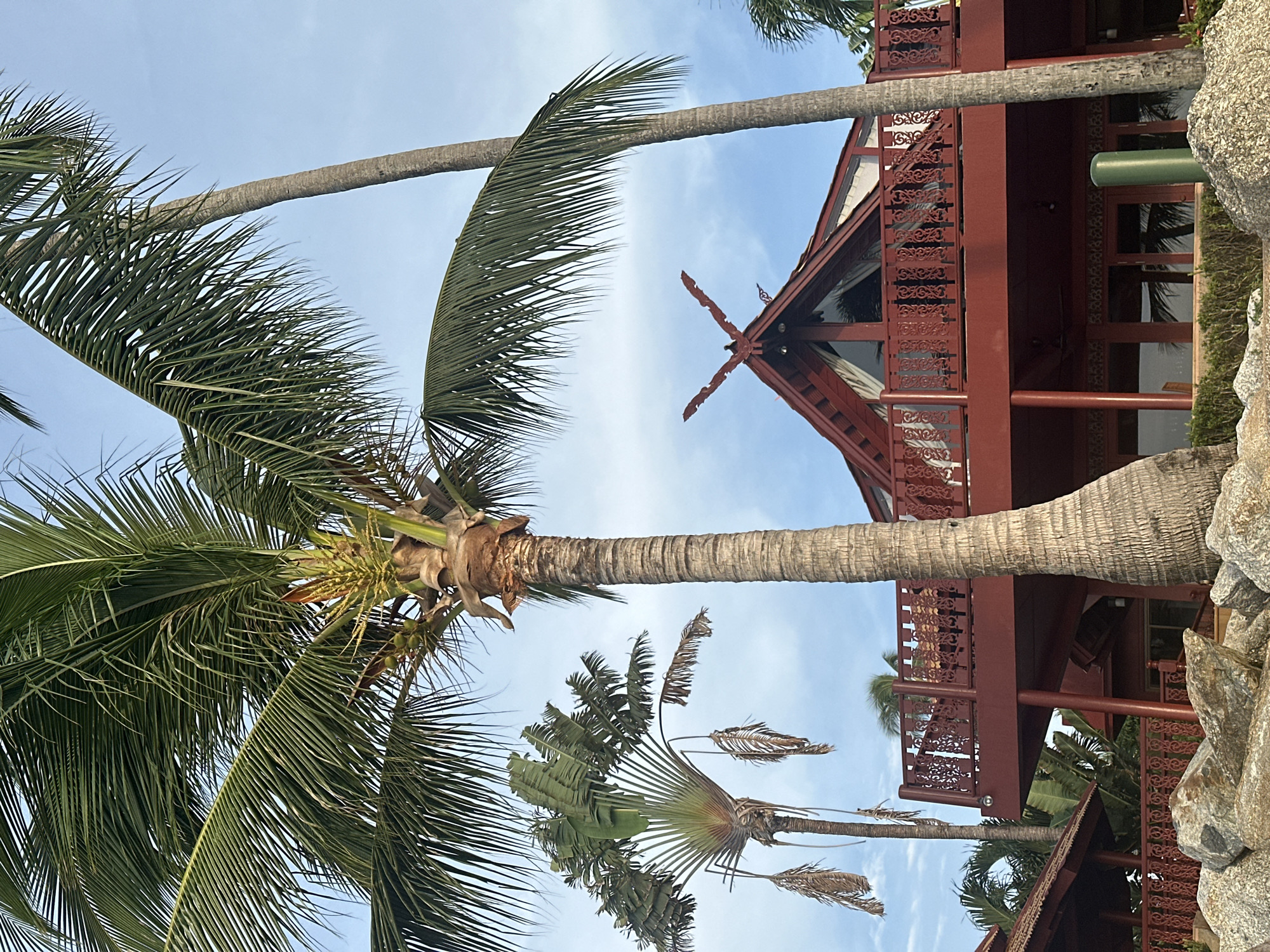 Lazy morning on a rocky palm-lined Ko Samui beach