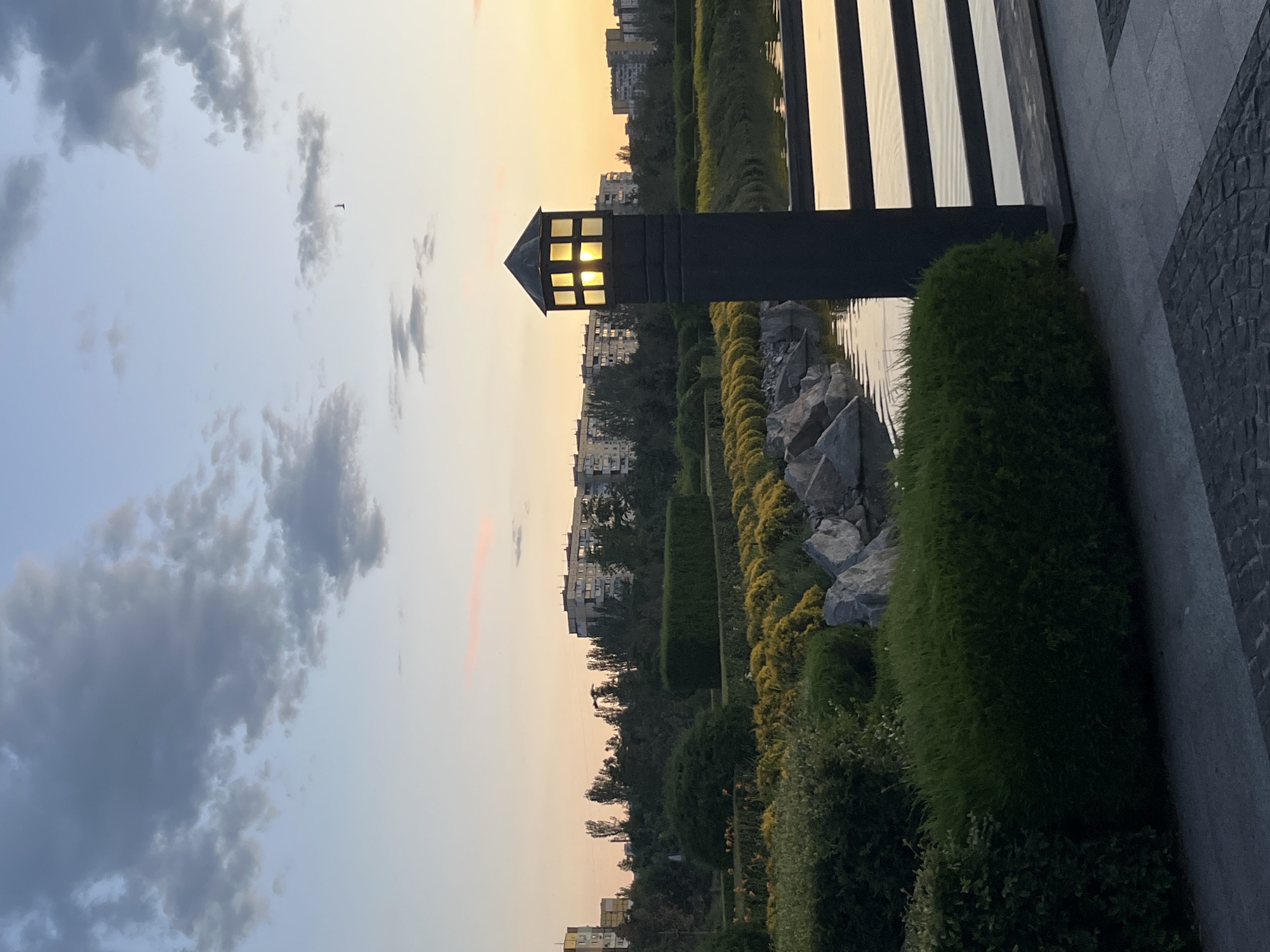 Orange daylilies blooming in a Dnipro park at dusk