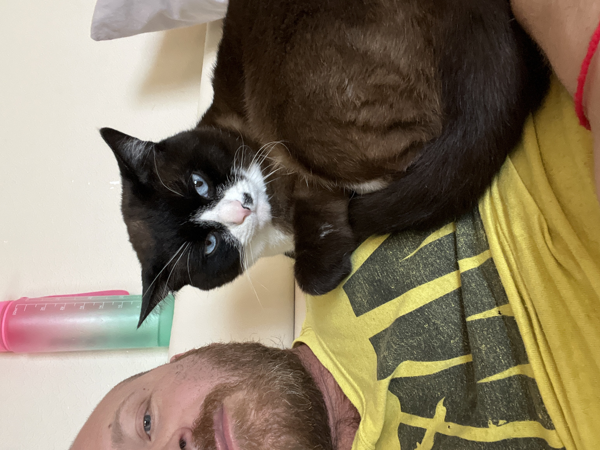 Russian town residents share morning pet selfies simultaneously