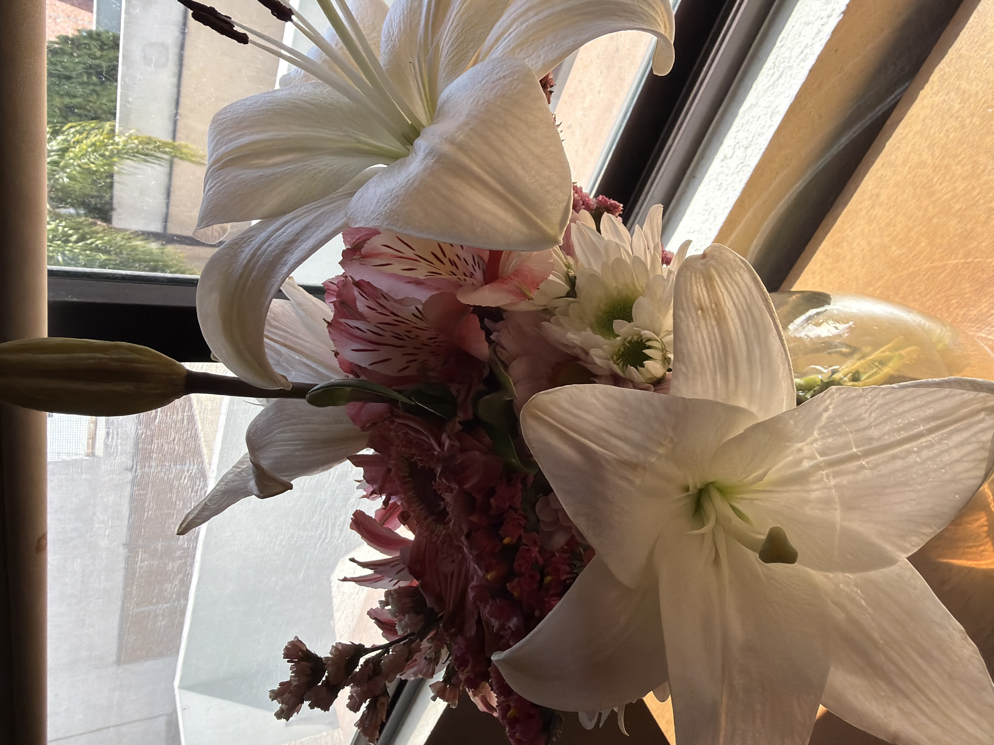 Mixed flower bouquet spotted near window