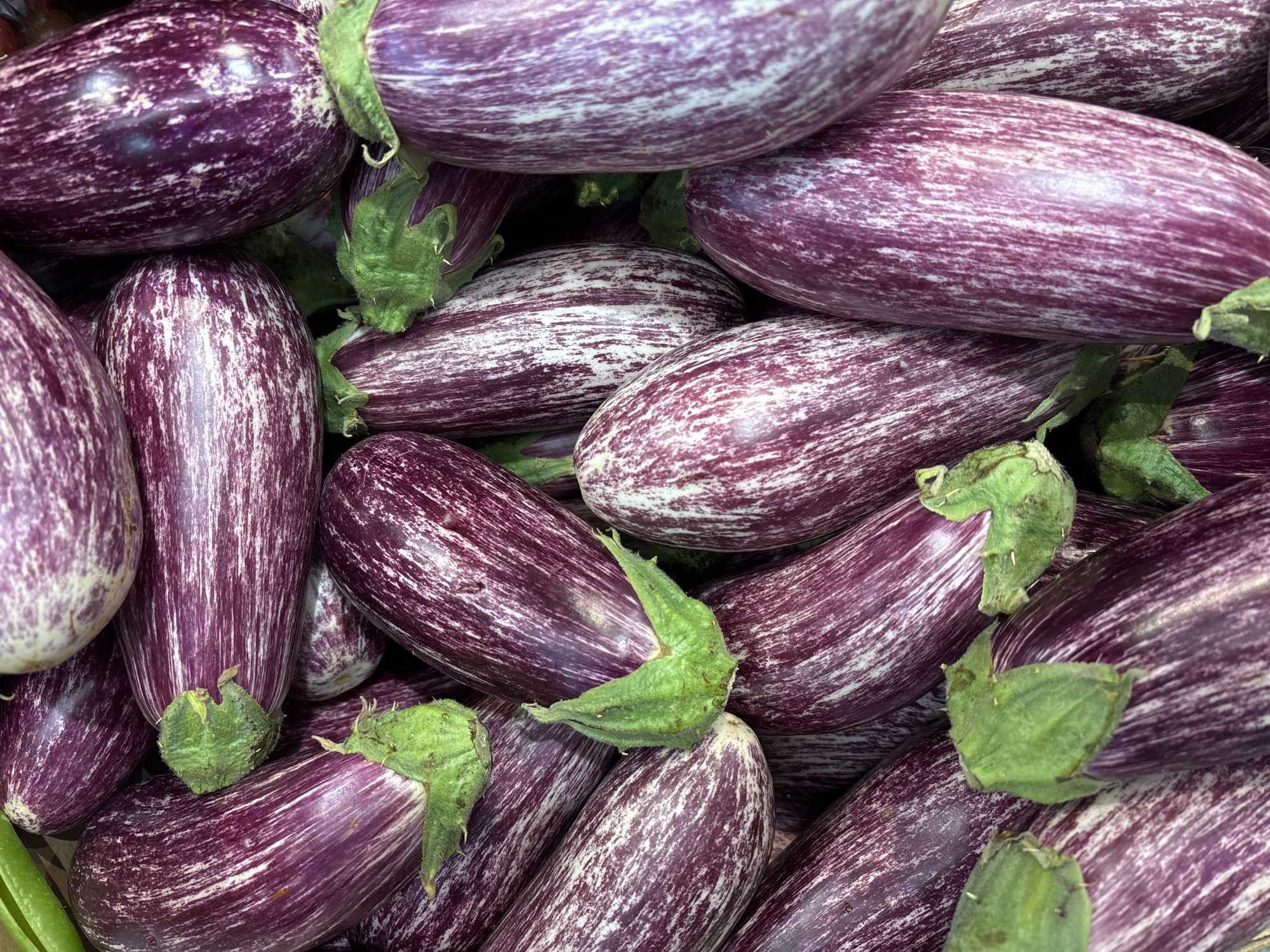 Fresh eggplants and tomatoes spotted at Bat Yam market