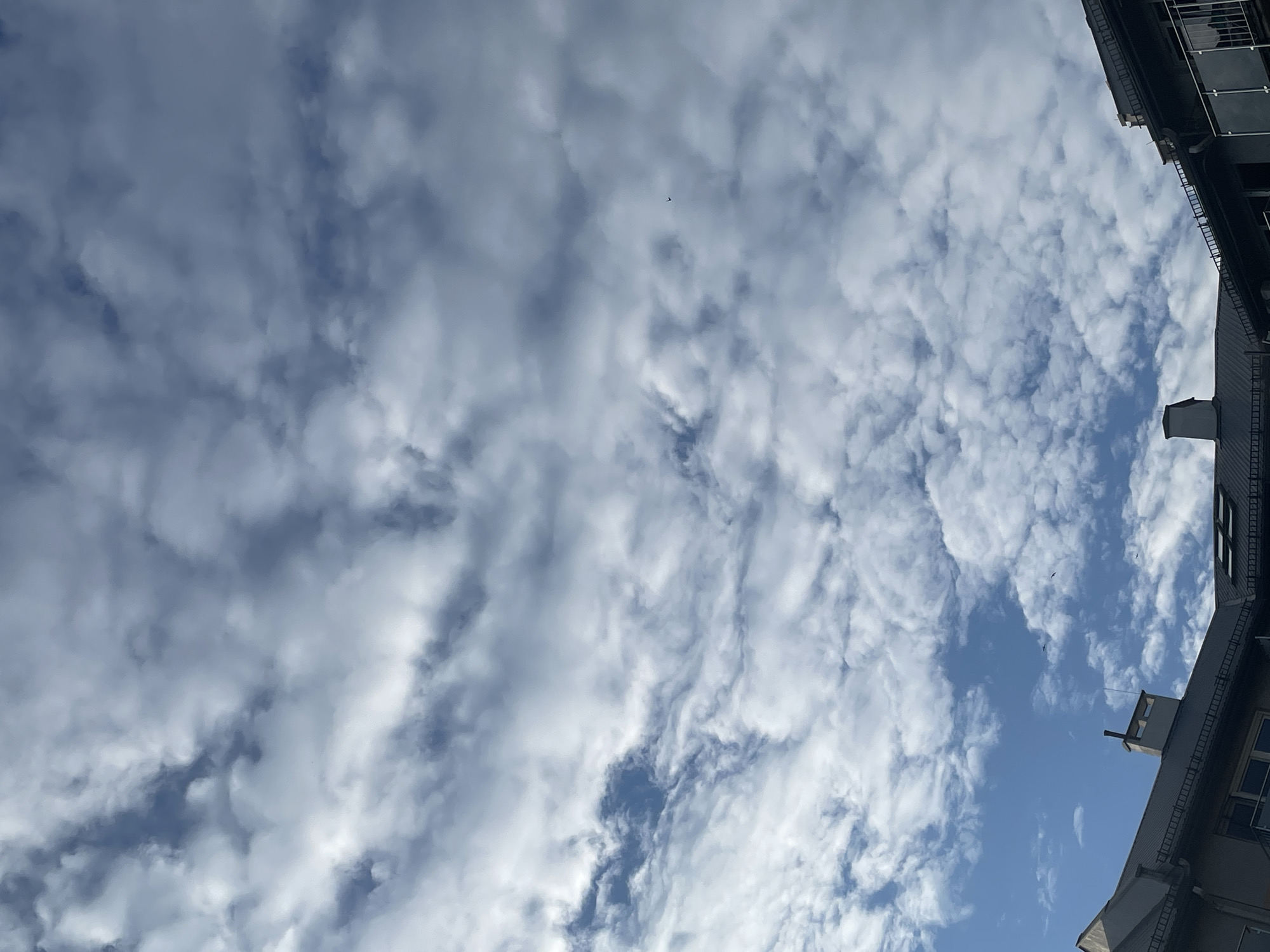 Urban afternoon: snail encounters and sky gazing captured