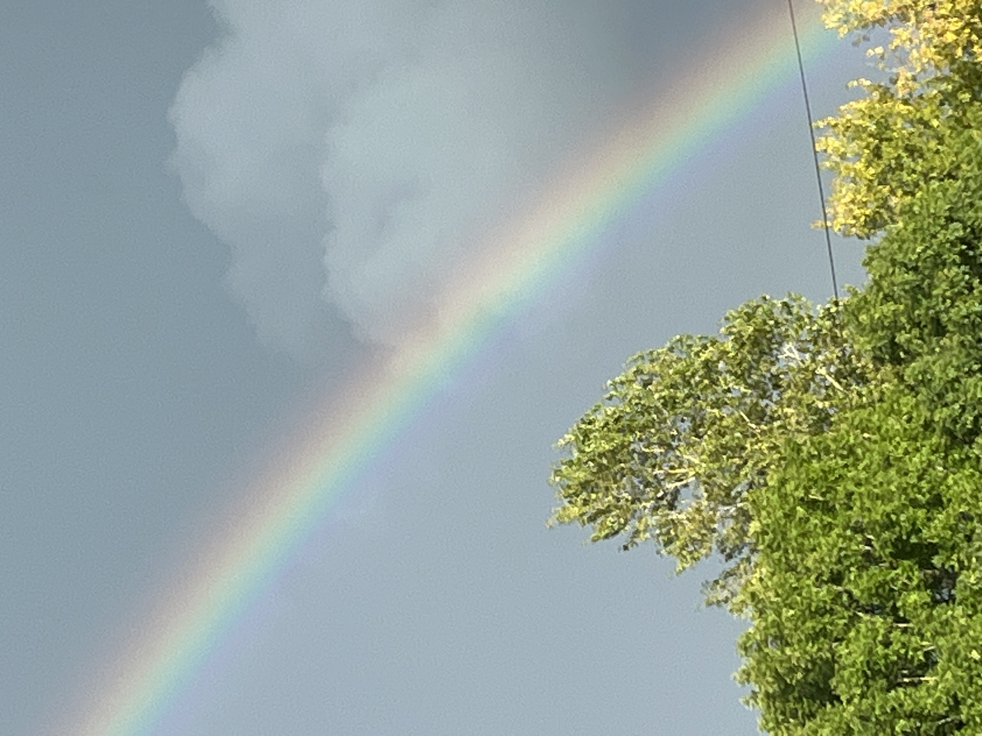 Double rainbow over Kohtla-Järve treeline on a grey August afternoon
