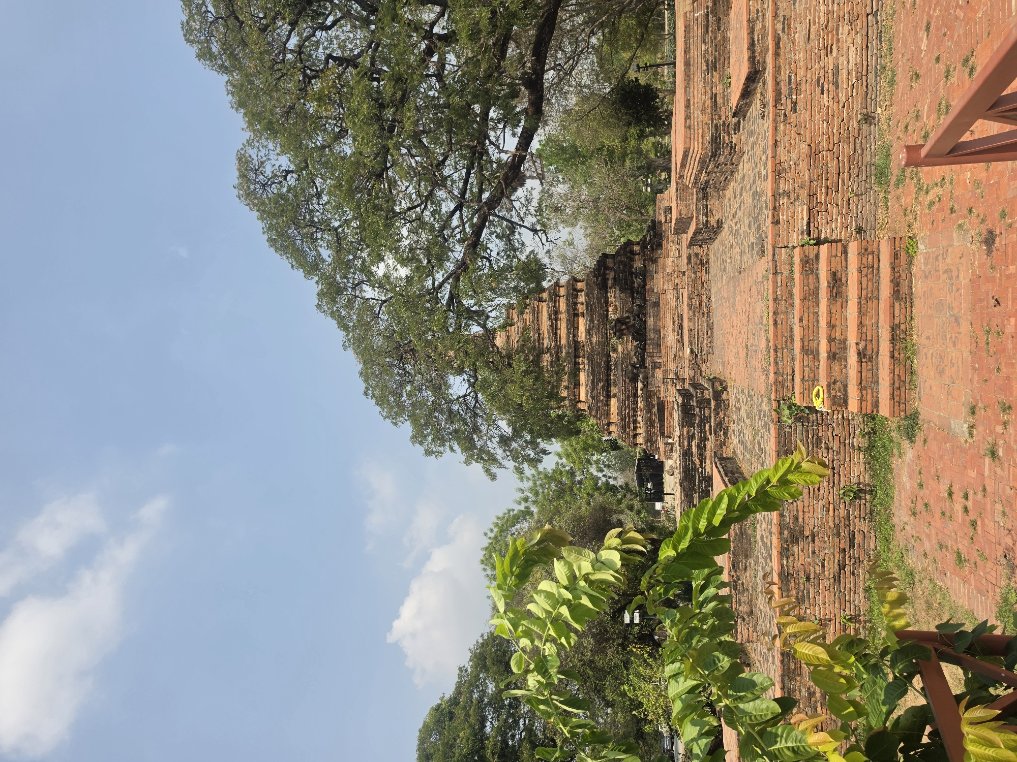 Tourist elephants traverse ancient Ayutthaya ruins in early morning