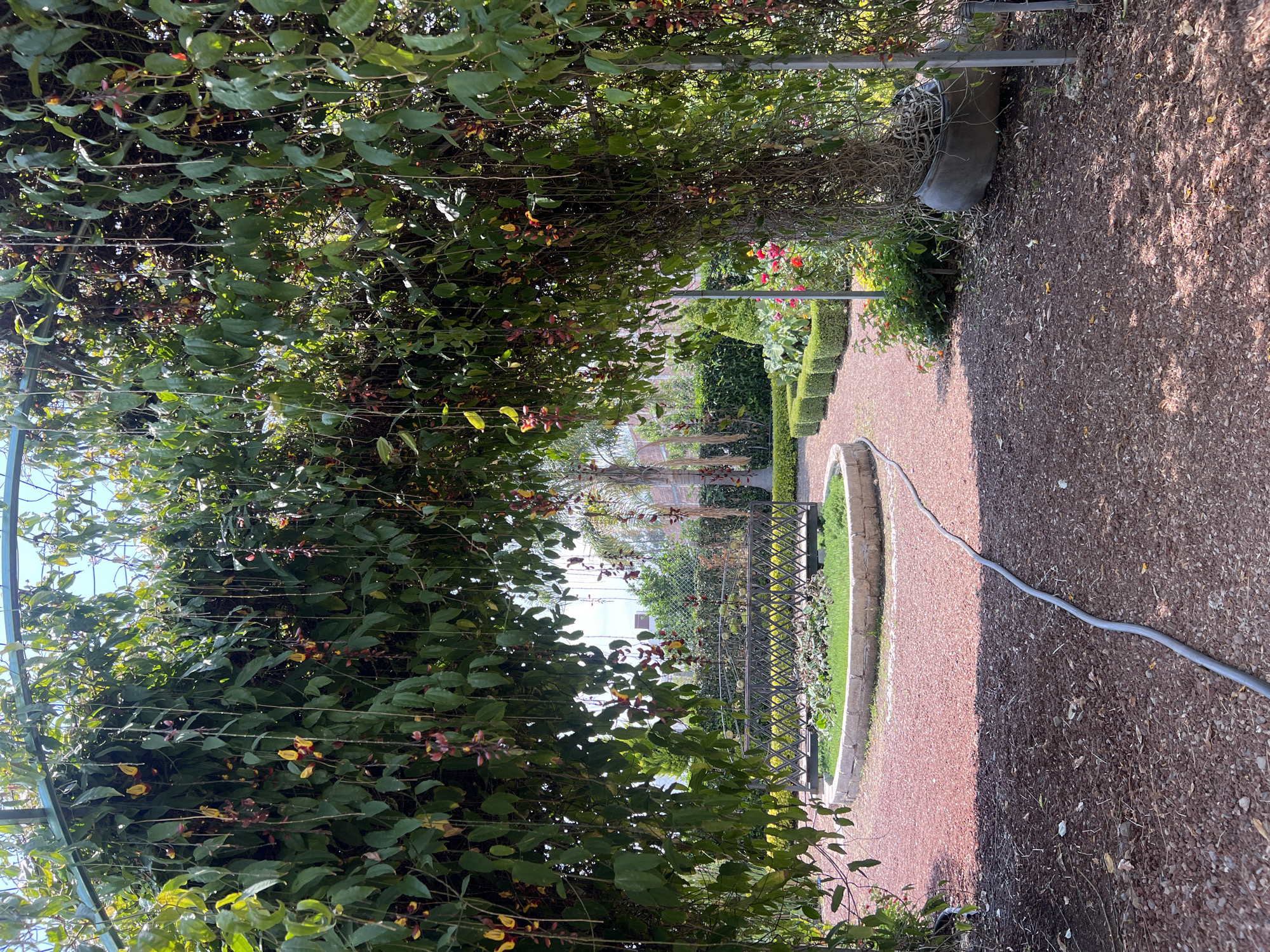 Garden center visit documented in Atlixco, Mexico
