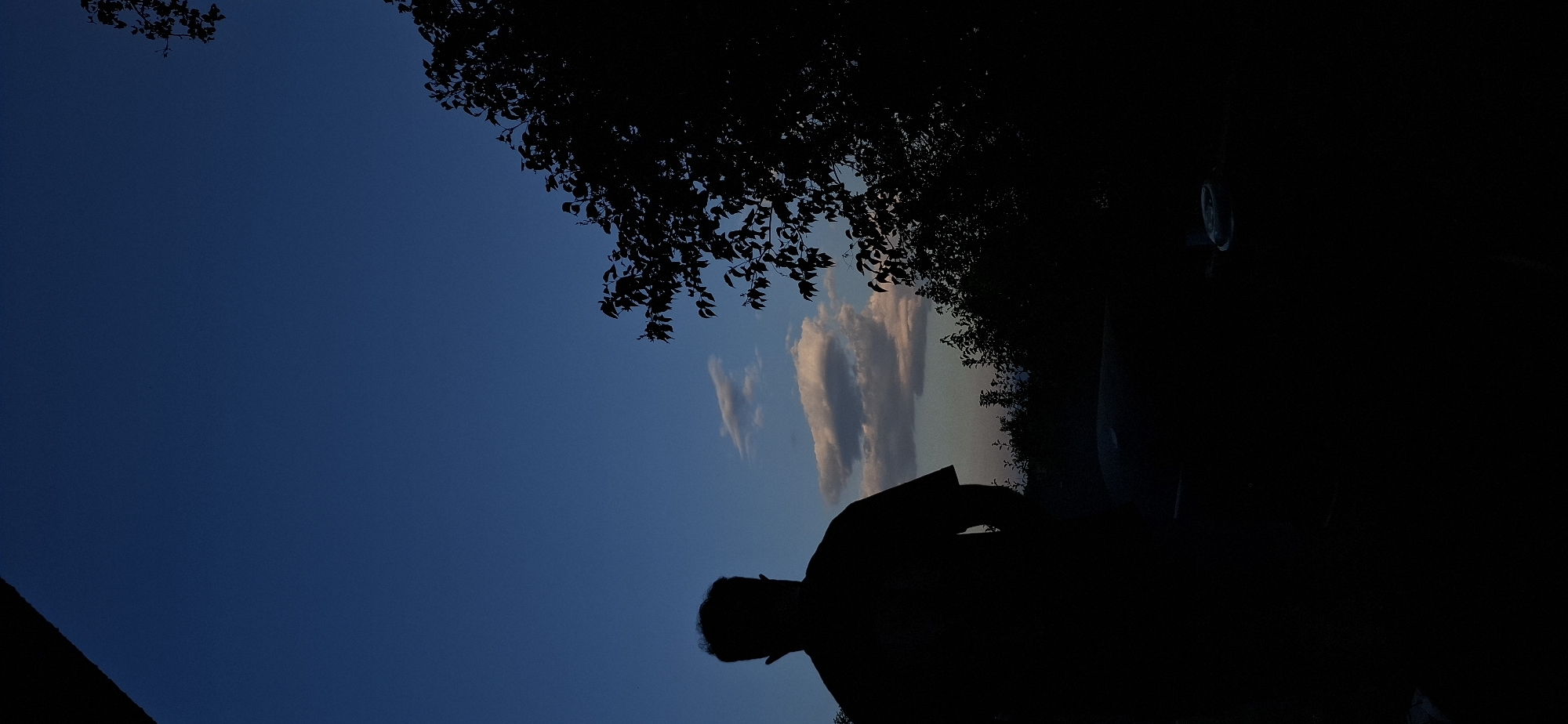 Backyard grill session at dusk in Lobosh, Bulgaria