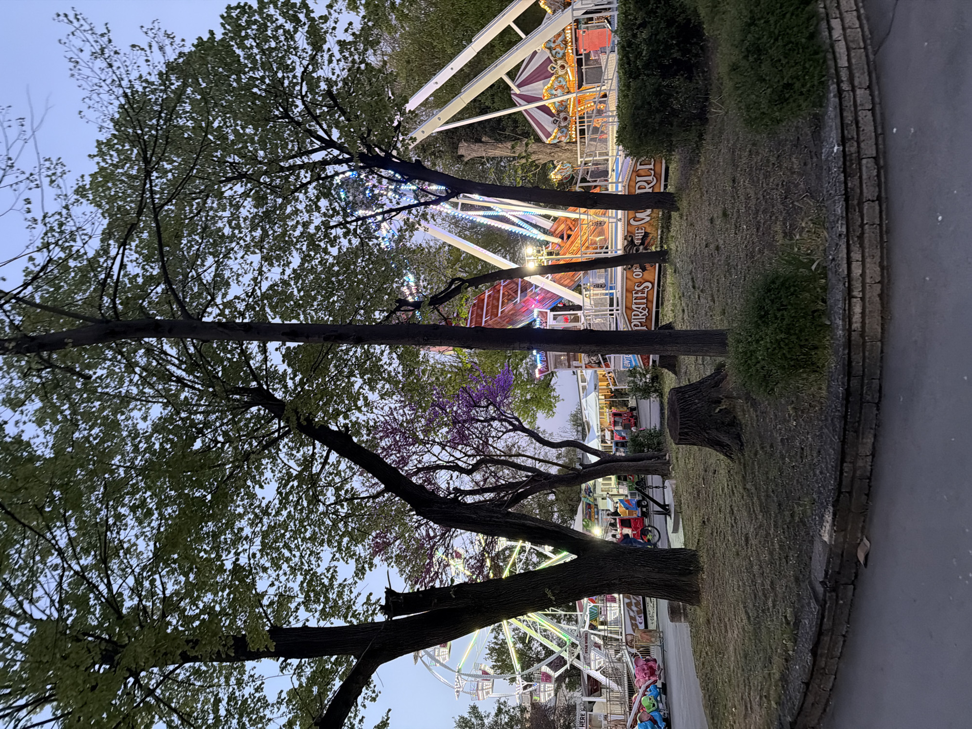 Evening amusement park view captured through trees in Shumen