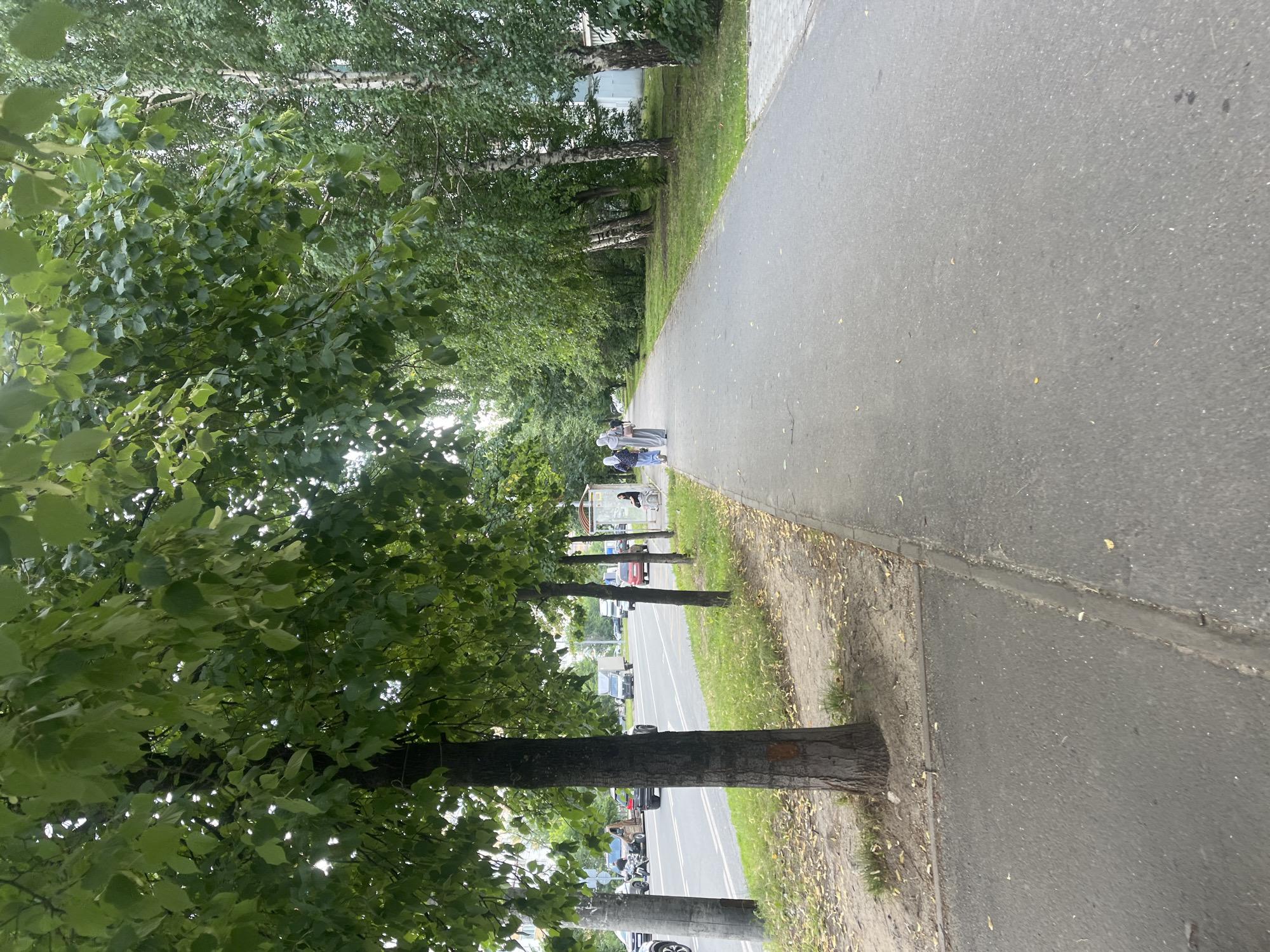 Quiet urban street scene with foot traffic, greenery, and a parked loader