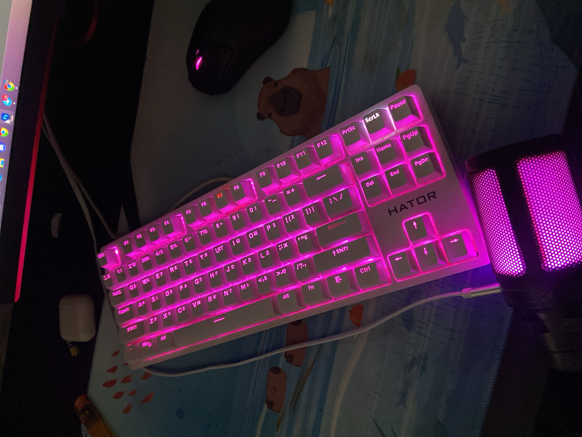 Pink-lit keyboard and a relaxed dog in a Warsaw home
