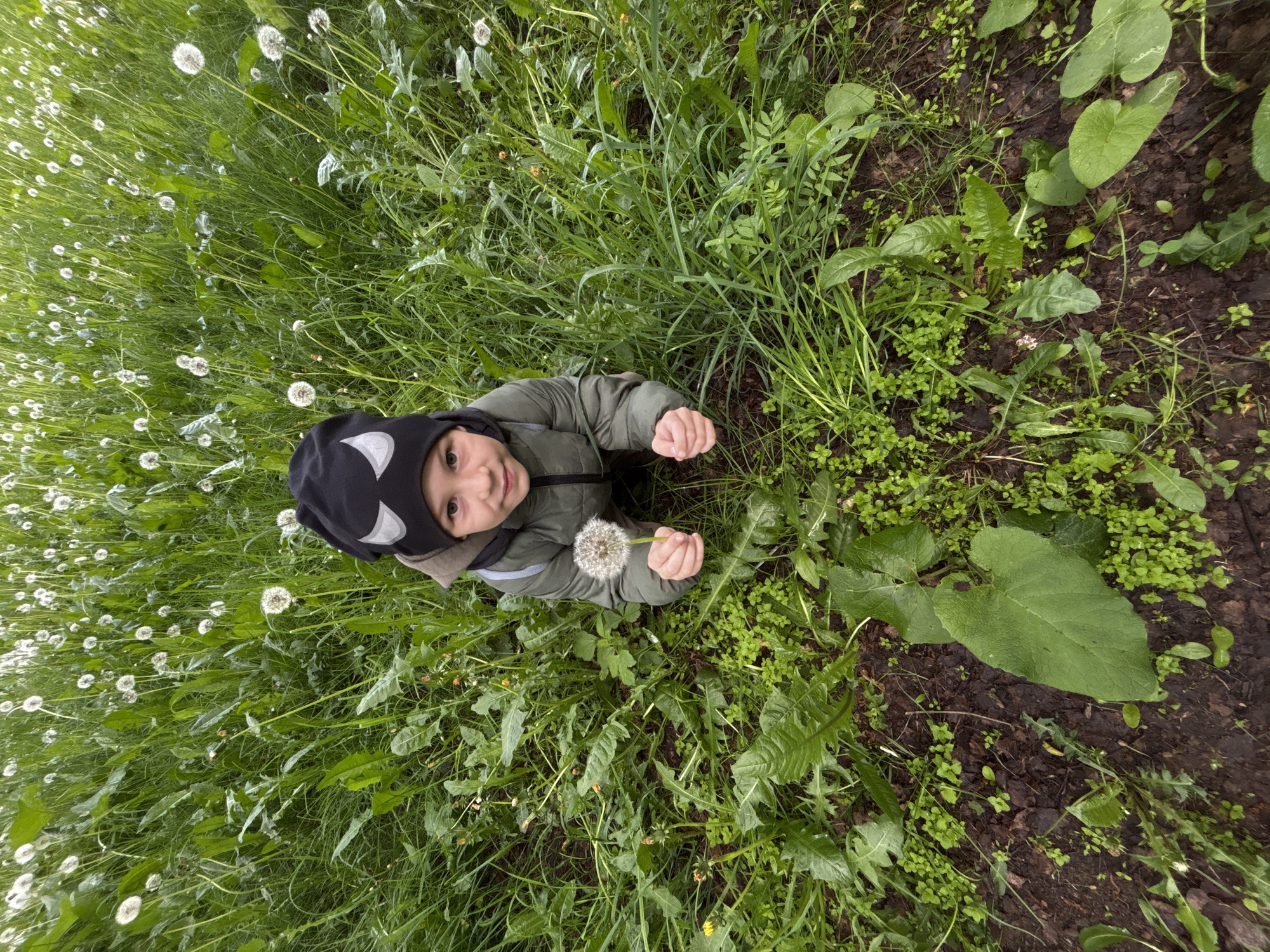 Mother and child enjoy dandelion moment in Yaroslavl park