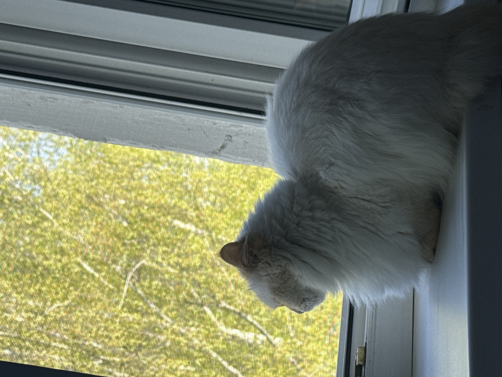 Morning domestic life captured in Chaikovsky, Russia