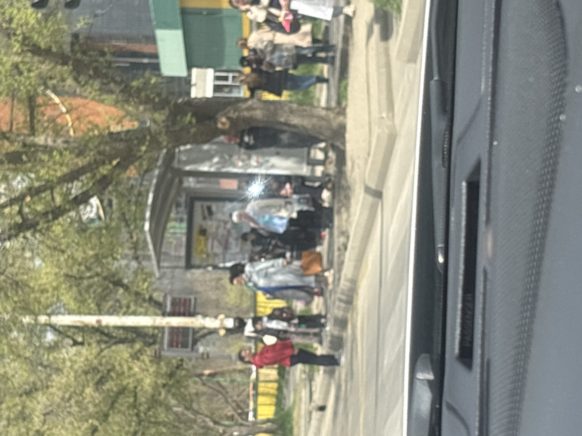 Commuters wait at tree-lined bus stop in Tbilisi