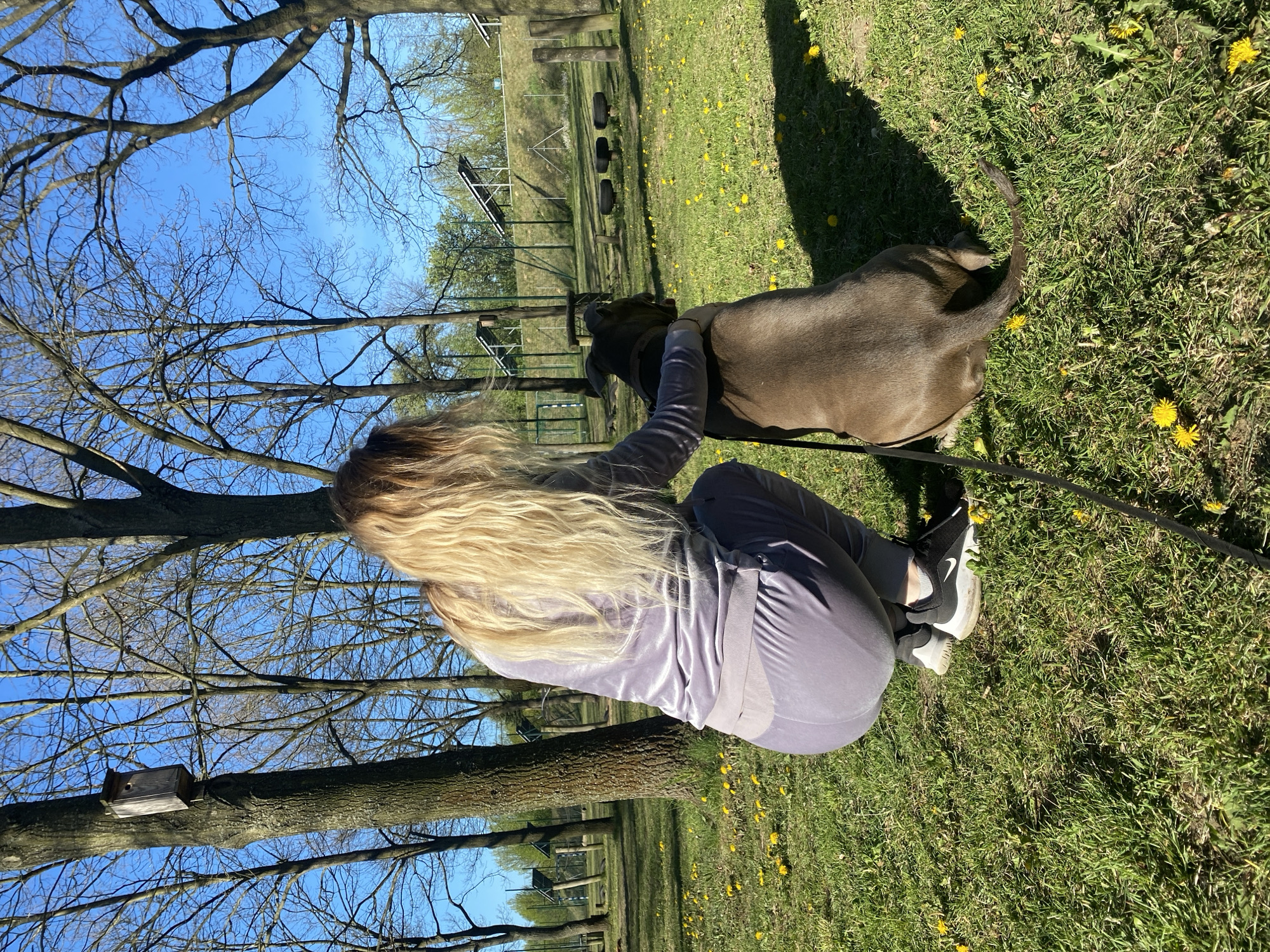Woman walks pitbull in Łódź park during early morning