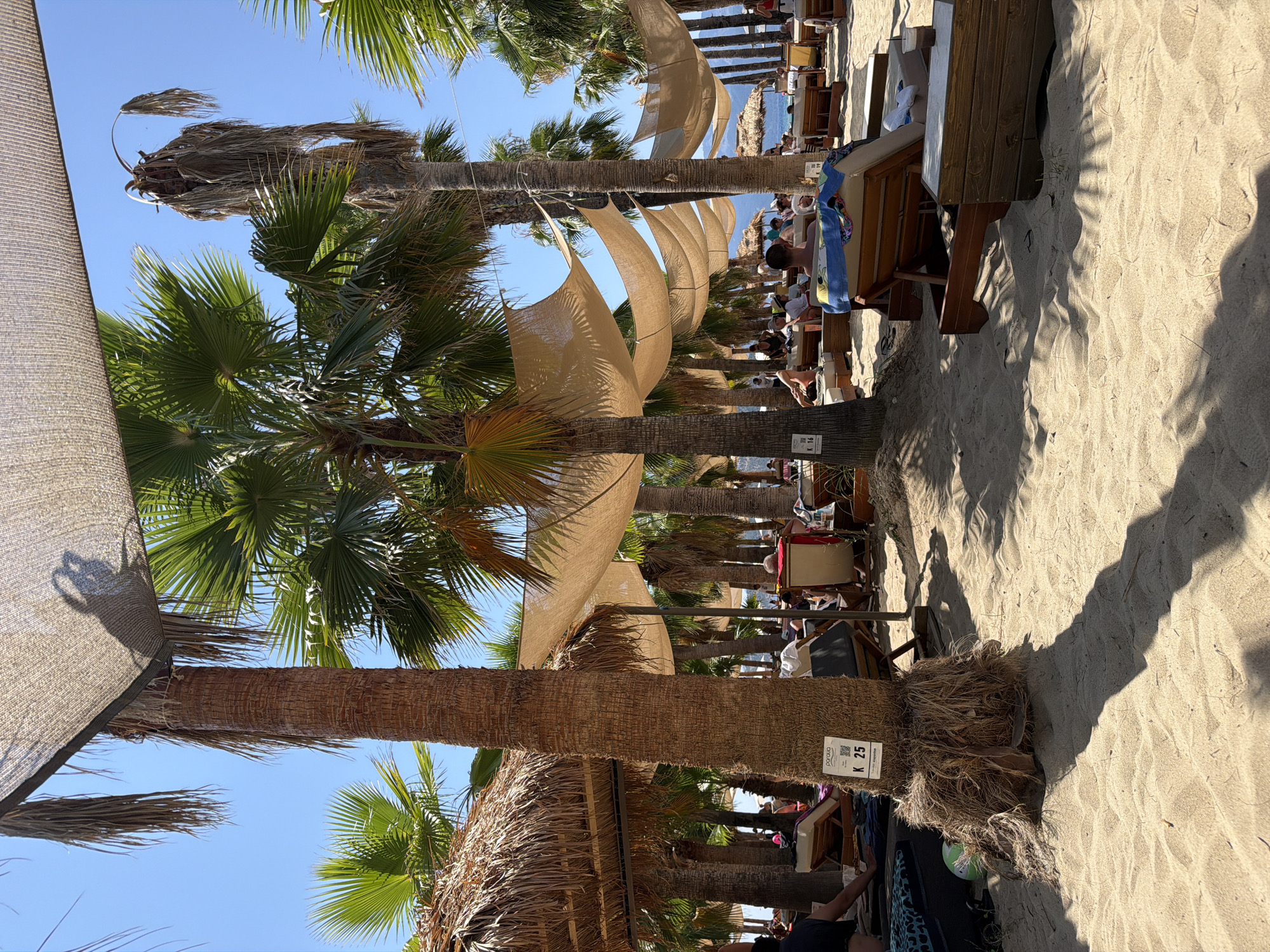 Lazy morning on a palm-lined beach in Keramoti, Greece