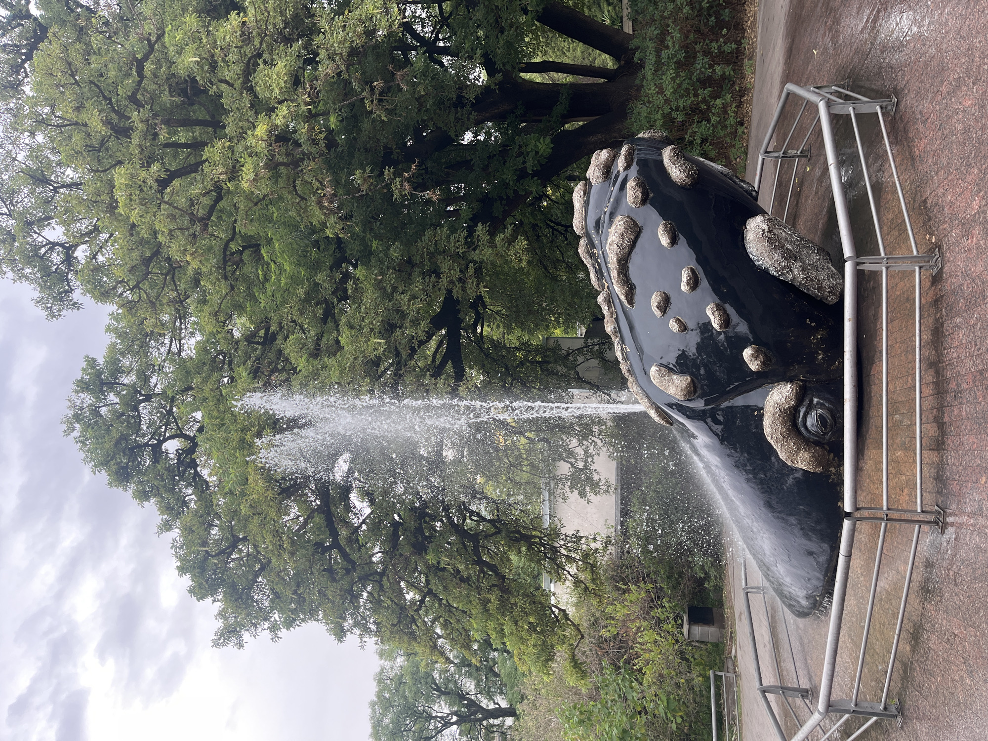Wildlife viewing session documented at Buenos Aires Ecoparque
