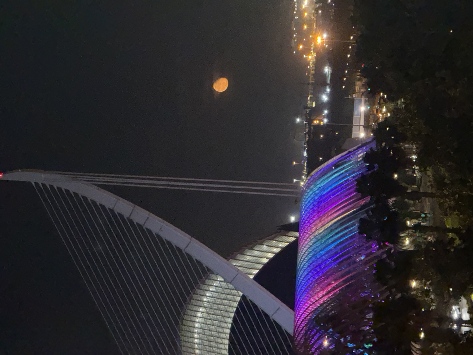 Night documentation of Valencia's City of Arts and Sciences