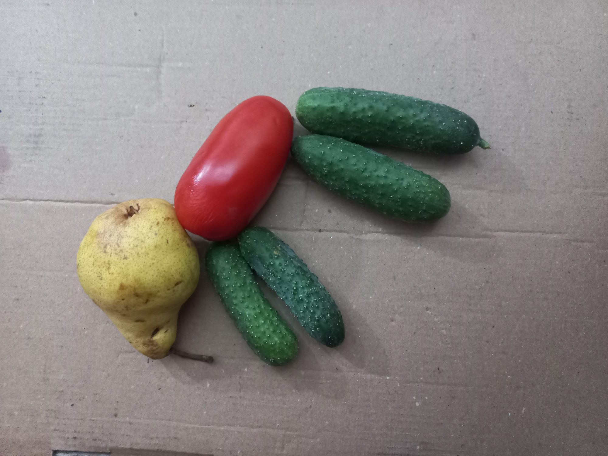Everyday life documented in Ukrainian village